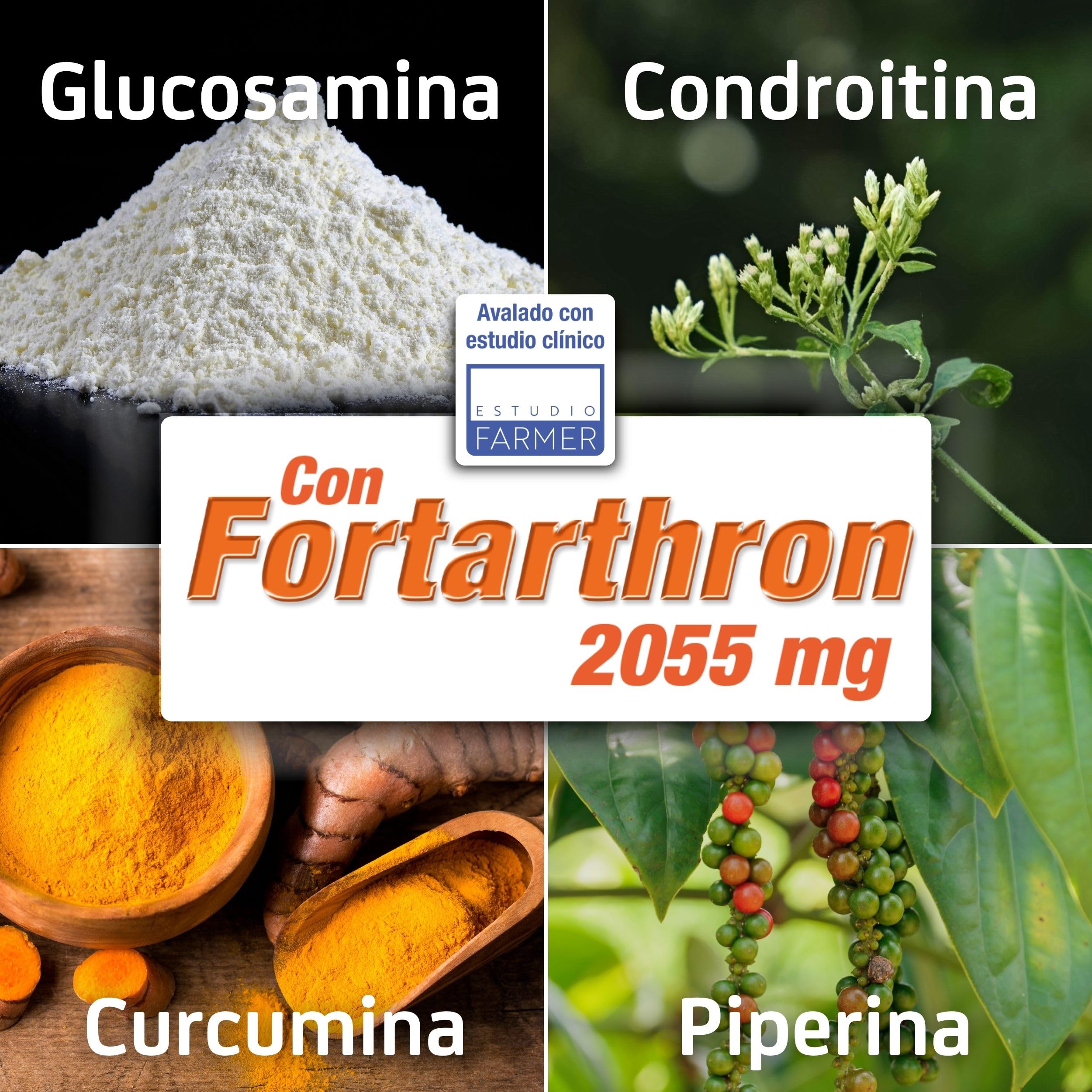 PACK BONFLEX® SENIOR - Artisenior Stick + Gel 60ML | Mejora el cuidado articular de personas en edad senior | Fórmula única con Fortarthron™ | 1 Stick al día Sabor Naranja| Gel Efecto Calor