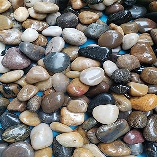 XXYXXY 11.8 lbs of River Stones, Plants, Gardens, Landscapes, Succulents, vases, Highly Polished Decorative Pebbles in Sha...