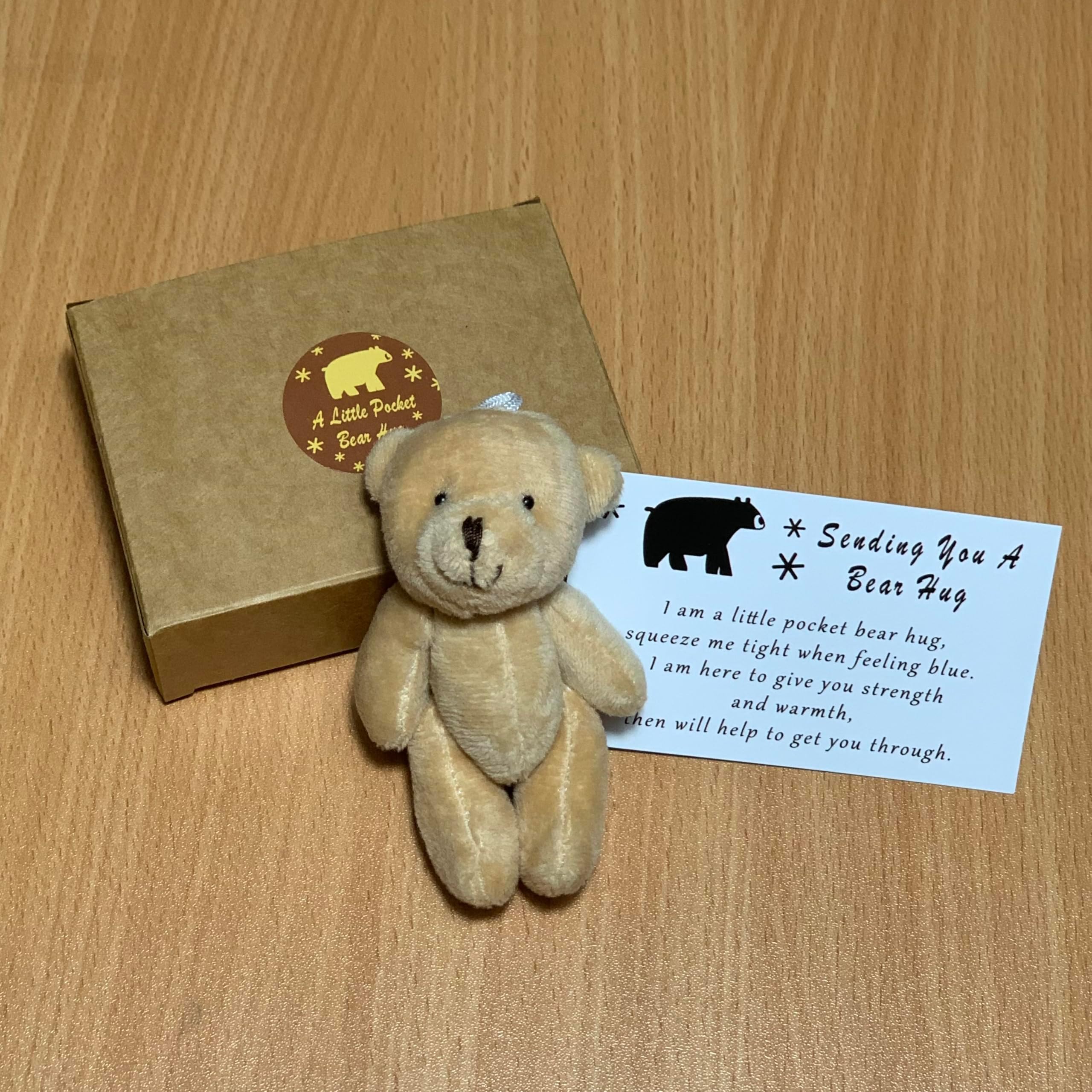 A Little Pocket Bear Hug - Sending You a Bear Hug, with Pocket Hug Token Card, Emotional Support Plush Positive Gifts for Graduation Birthday (Bronze)
