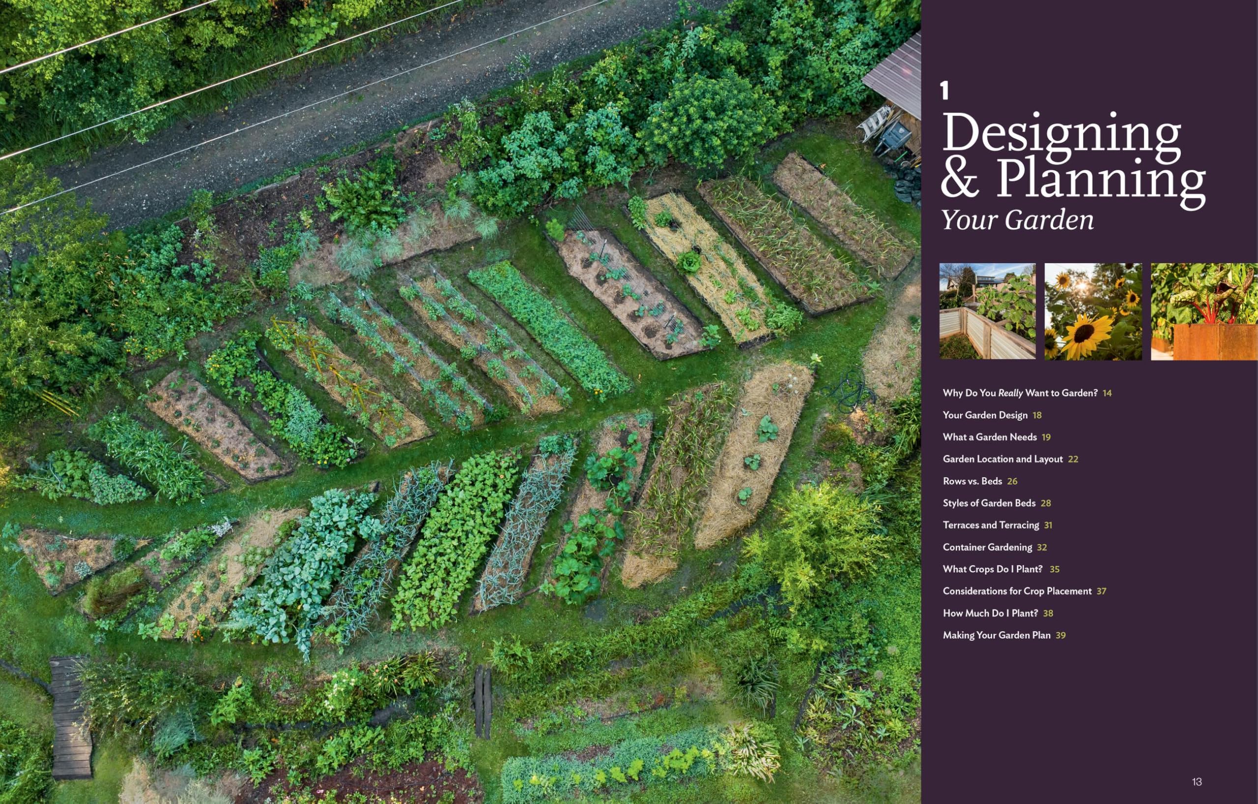 Grow Your Own Garden: A Complete Guide -5