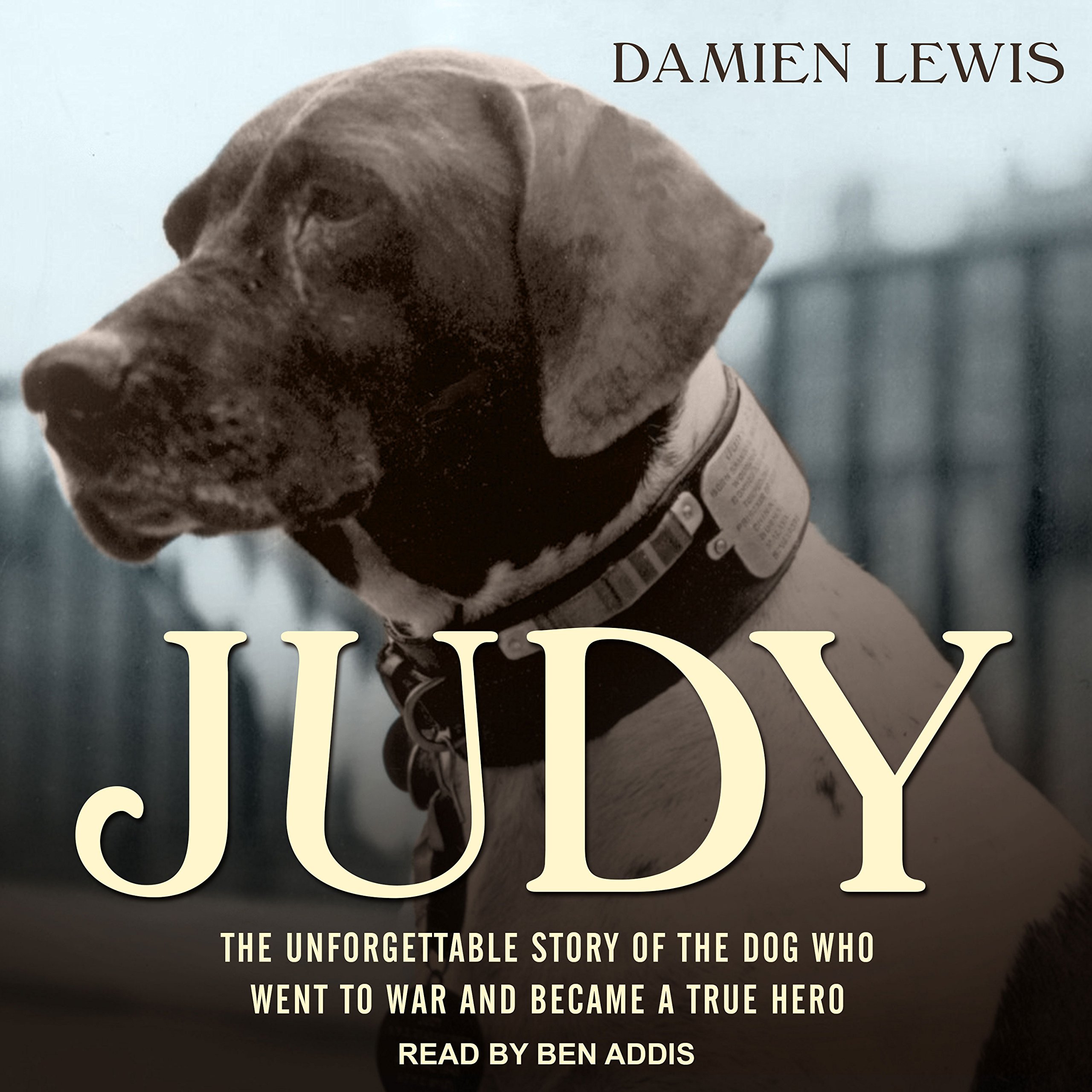 Cover art for Judy