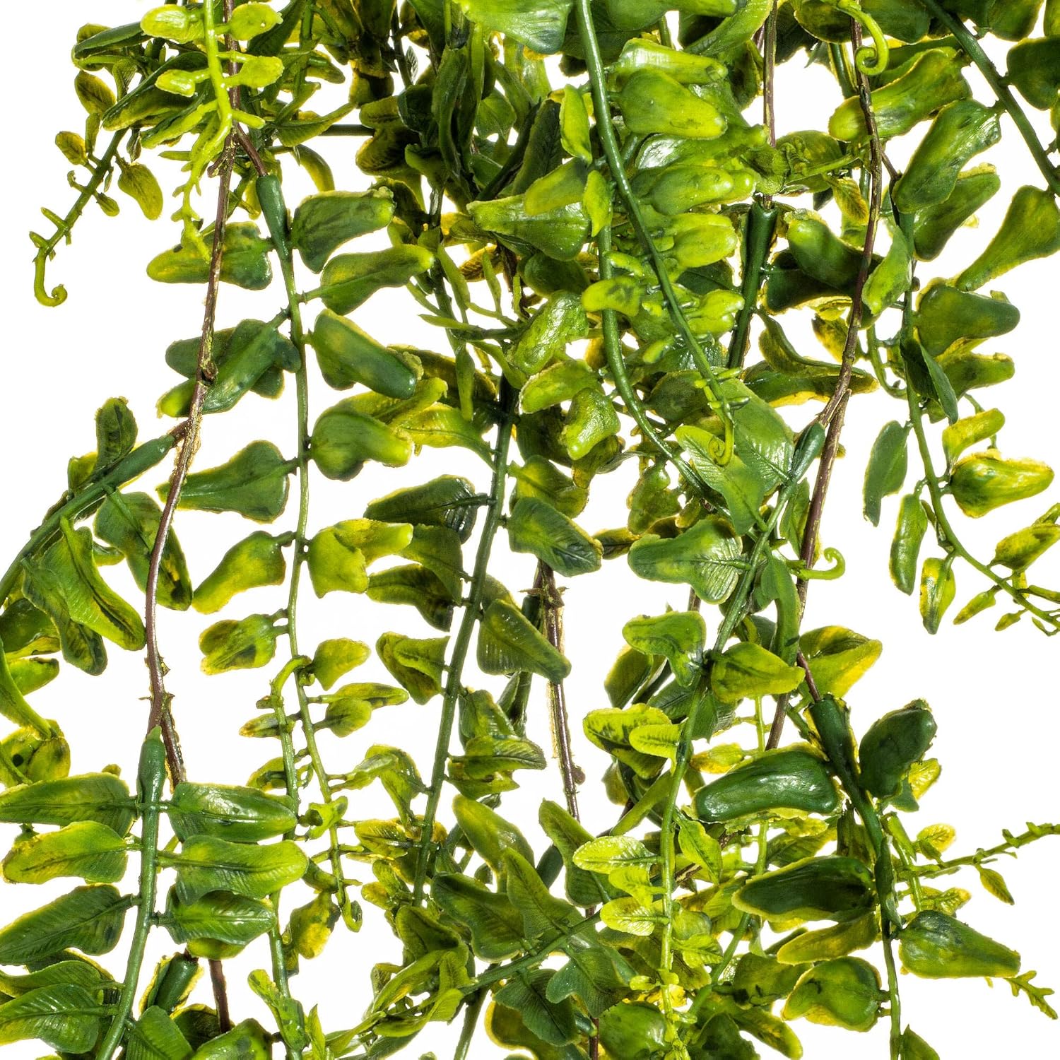 Vickerman Everyday 30" Artificial Green Buckler Fern Vine - Faux Indoor Plant Bush - Realistic Fake Plants for Indoor Use - Greenery for Home Or Office Decor - Maintenance Free