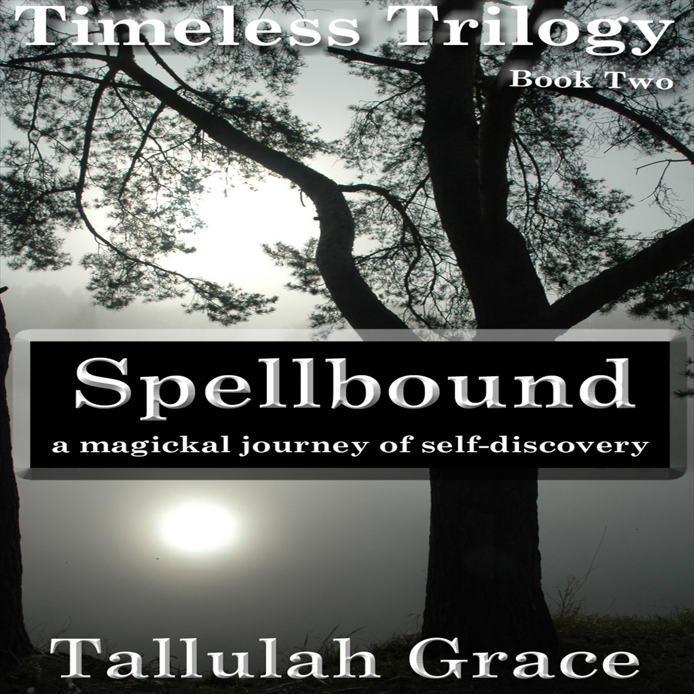Cover art for Spellbound: Timeless Trilogy, Book Two