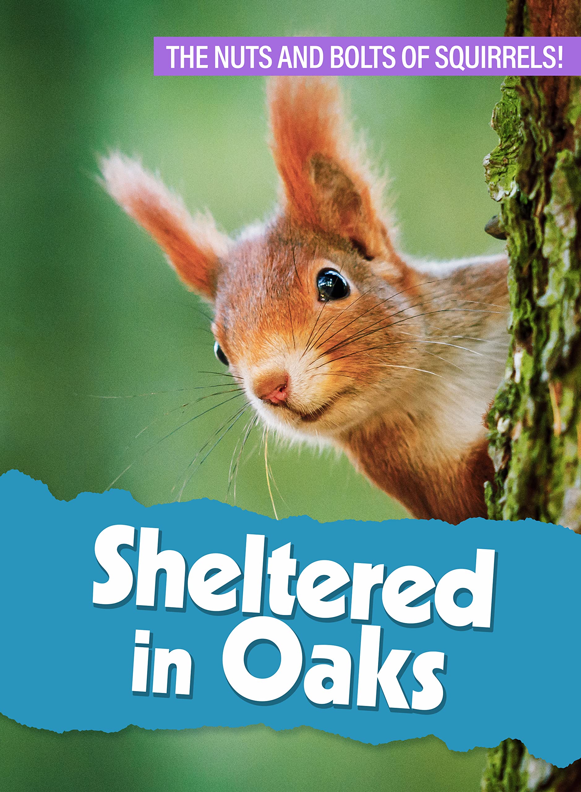 Sheltered In Oaks USA DVD pelicula original importada para reproductores de zona norteamericana