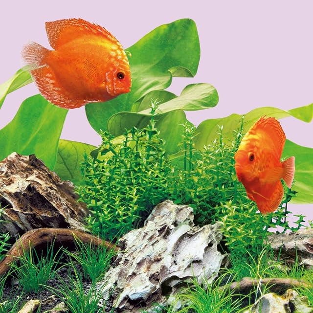 Juwel Aquarium - LED COLOUR 1200 mm - Apto para LED MultiLux - Lámpara de uso de 150 cm