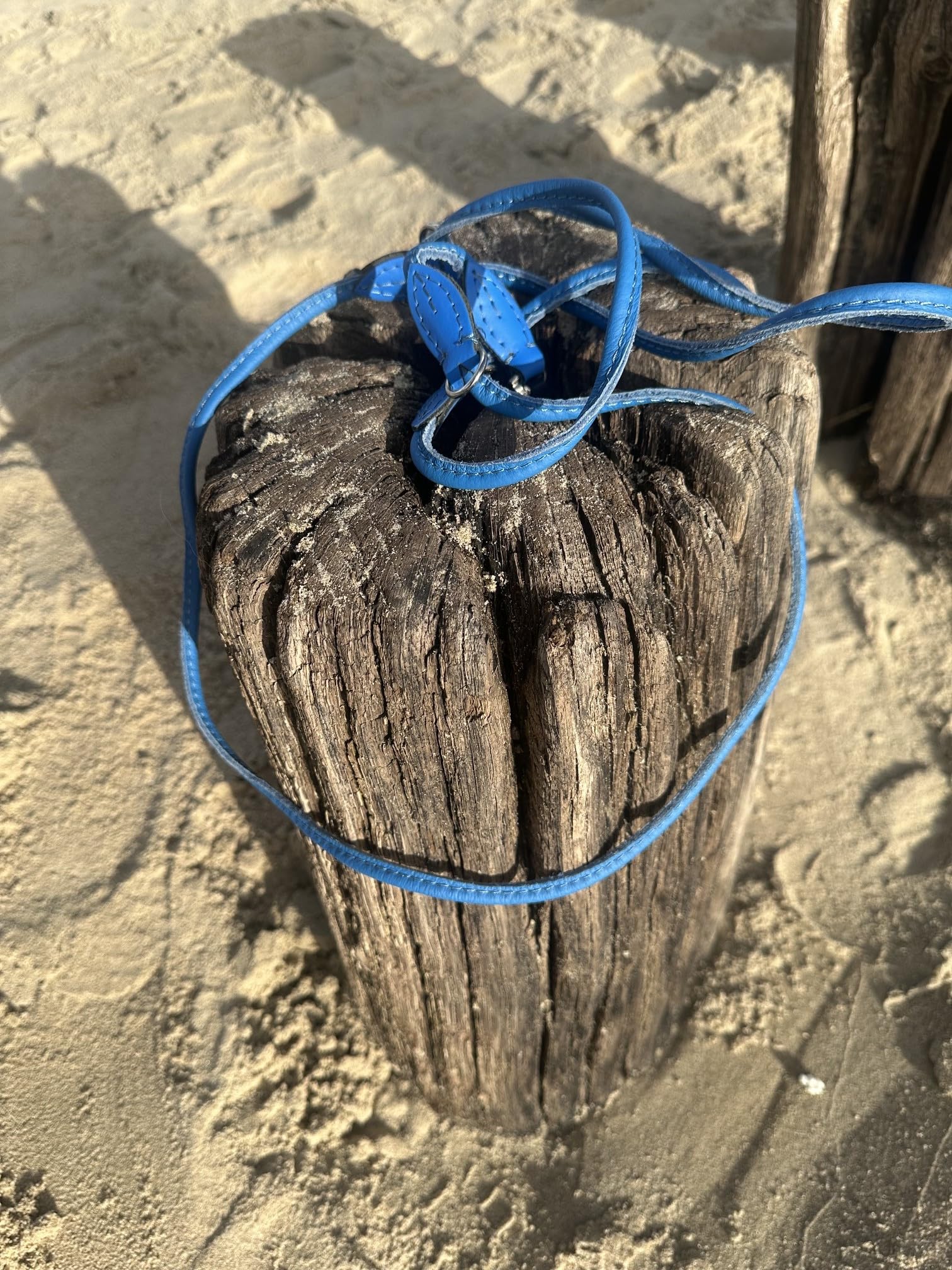 Guinzaglio per cani in vera pelle 961, 8 mm x 220 cm, perfetto per cani di piccola taglia