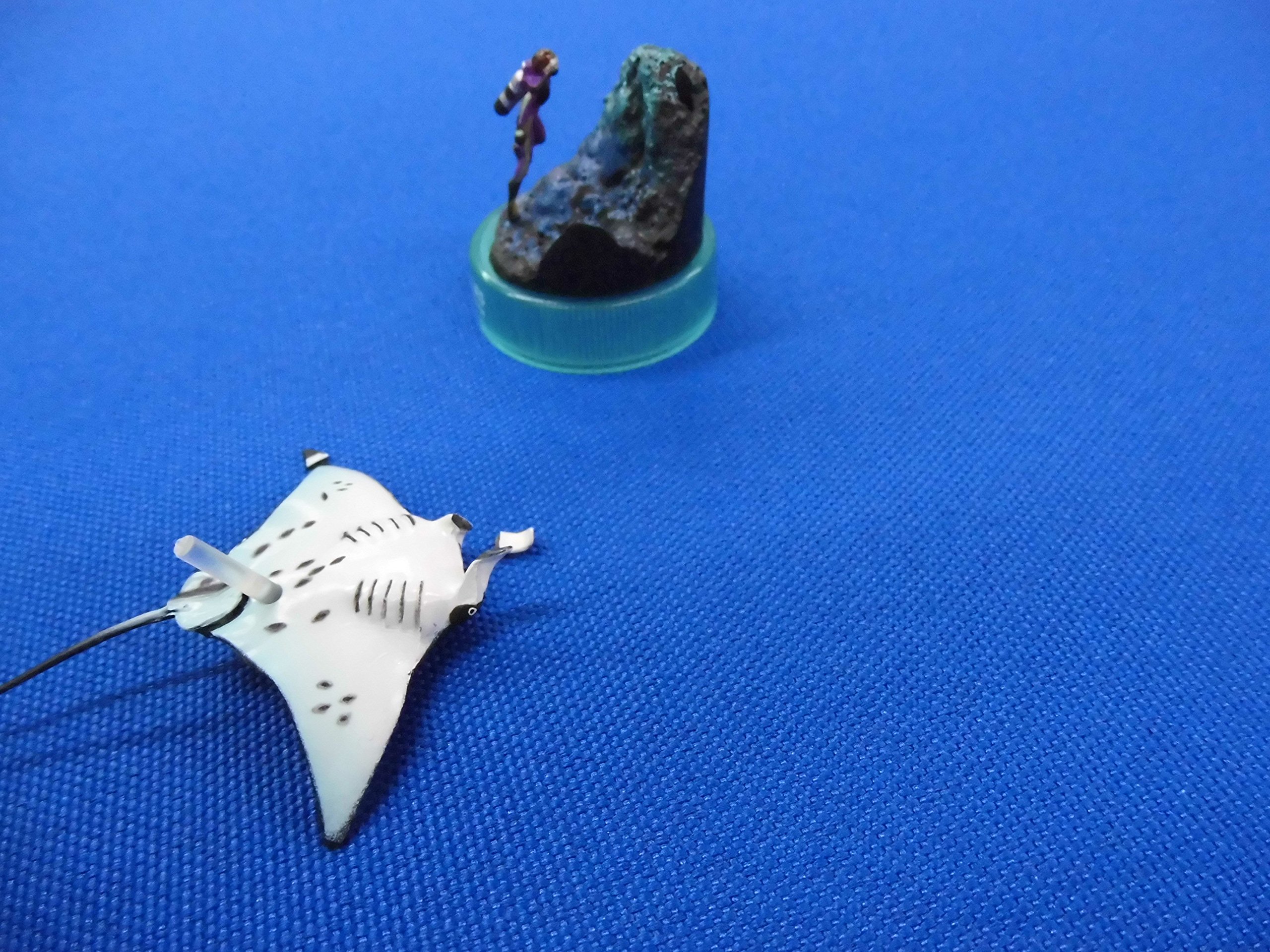 Amazon | 黒潮コメッコ第1弾 AQUATALES~黒潮の魚たち~ [シークレット