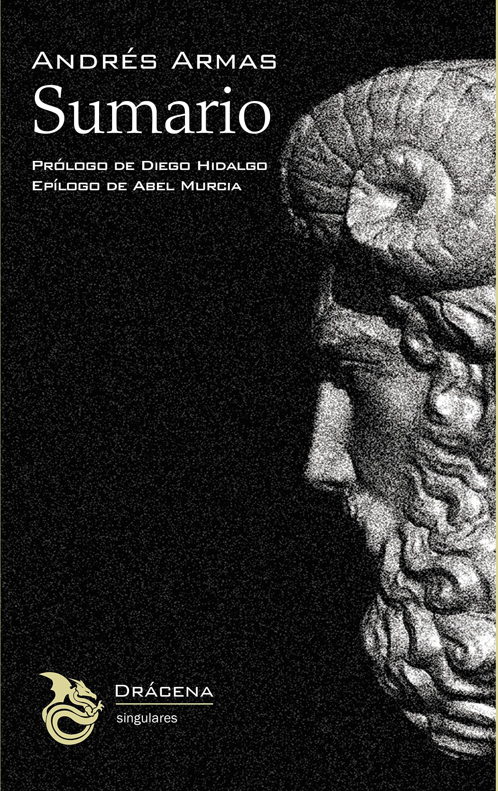 Sumario Paperback – 22 March 2023