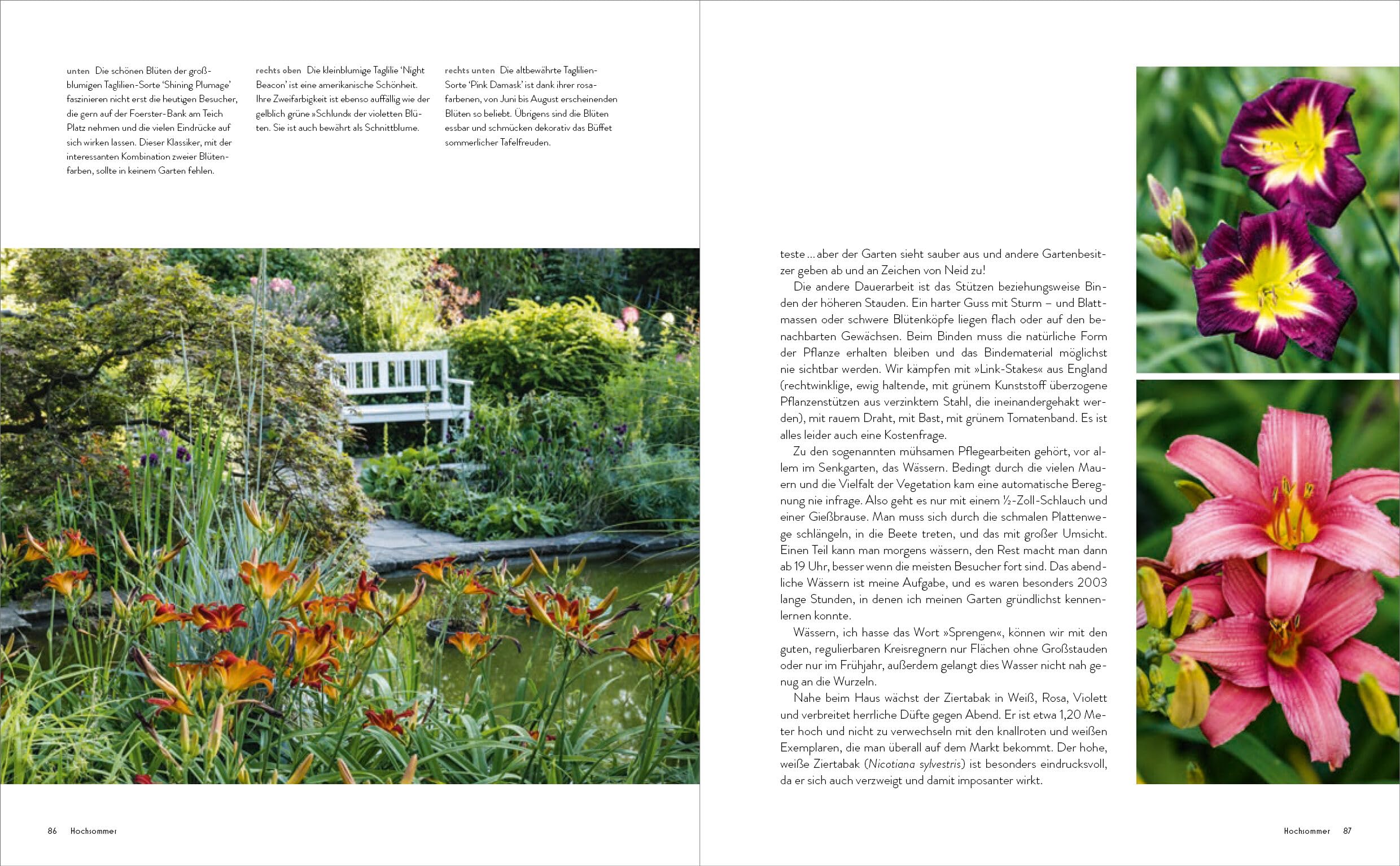 Der Garten meines Vaters Karl Foerster: Bornimer Gartentagebuch in sieben Jahreszeiten - Vollständig aktualisierte, erweiterte und neu fotografierte Ausgabe