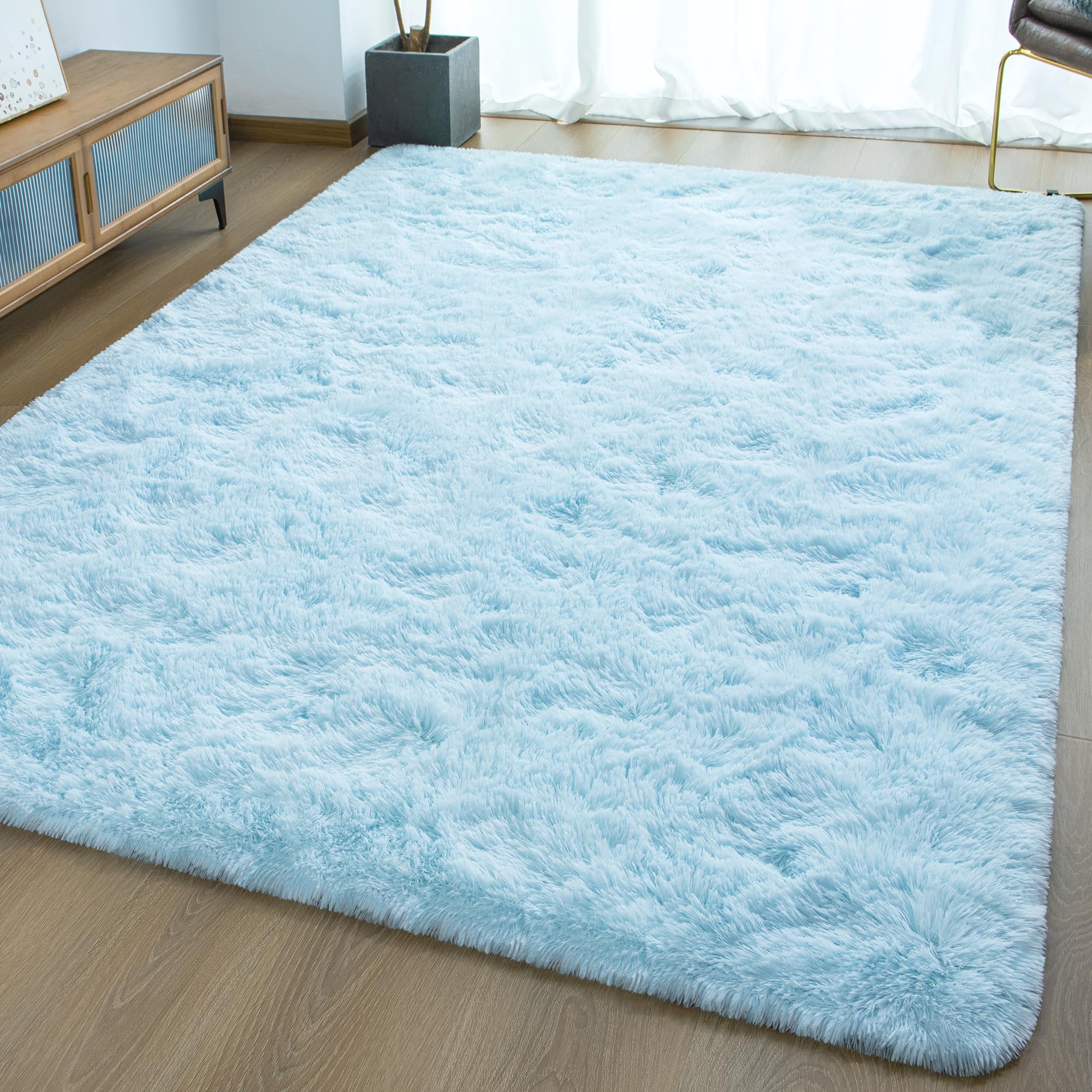 Ultra Soft Fluffy Rugs for Bedroom 5x8 Feet, Shag Area Rugs for Living Room, Large Comfy Furry Rug for Boys Kids Baby Room Decor, Non Slip Nursery Rug Modern Indoor Fuzzy Floor Carpet, Light Blue