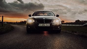 Palmetto Posters 24x36 Poster BMW 218i BMW car 189205