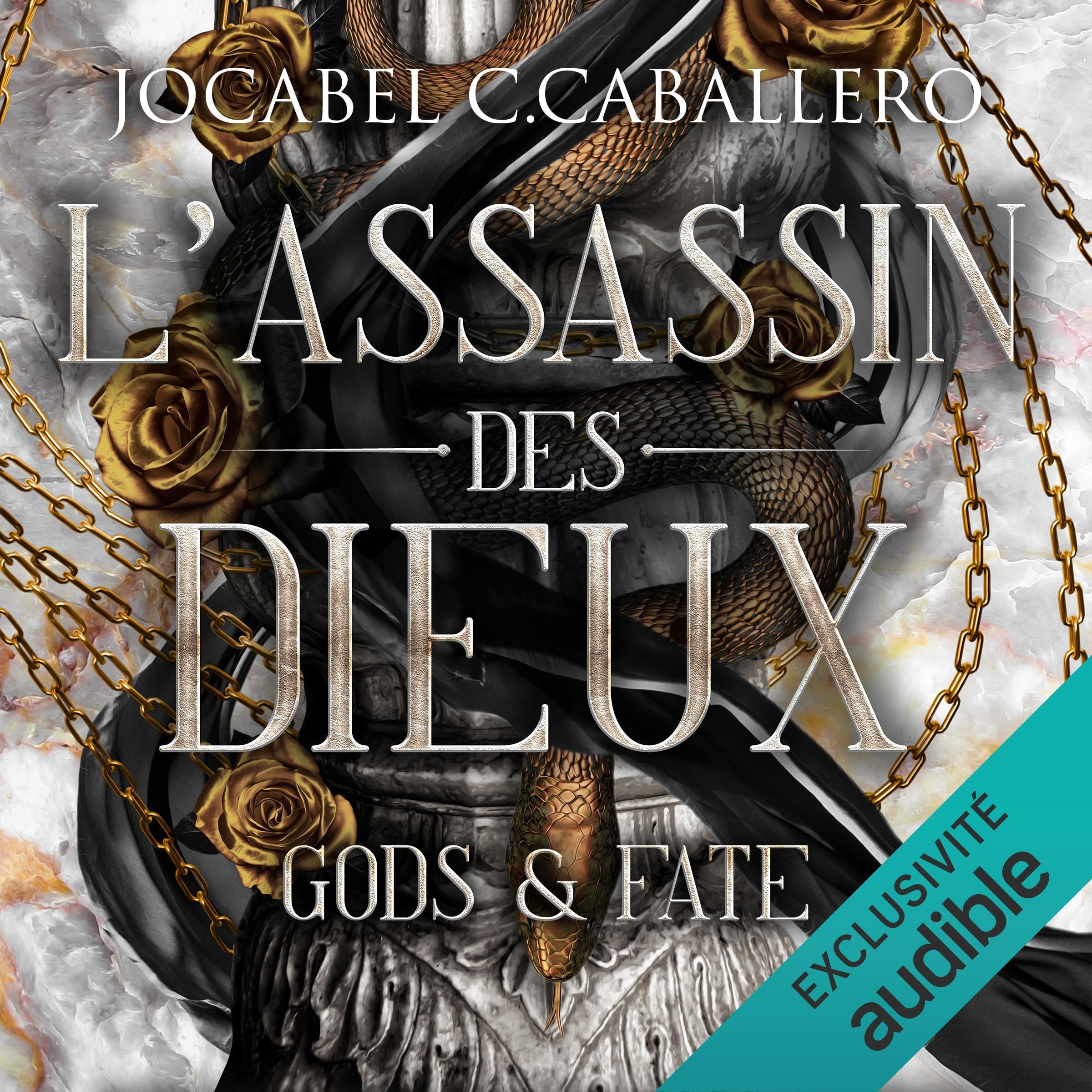 Cover art for L'assassin des dieux