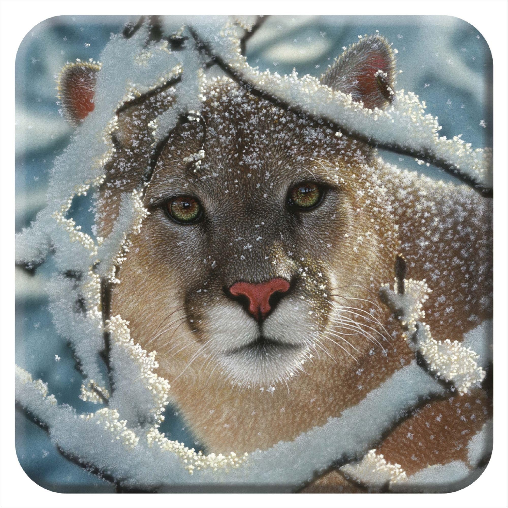 3D Livelife Women's Silent Encounter Cork Coaster - From Deluxebase. Lenticular 3D Cougar Drink & Mug Coasters. Fun Animal Gifts For And Men. Novelty Kitchen And Decorative Home Accessories.