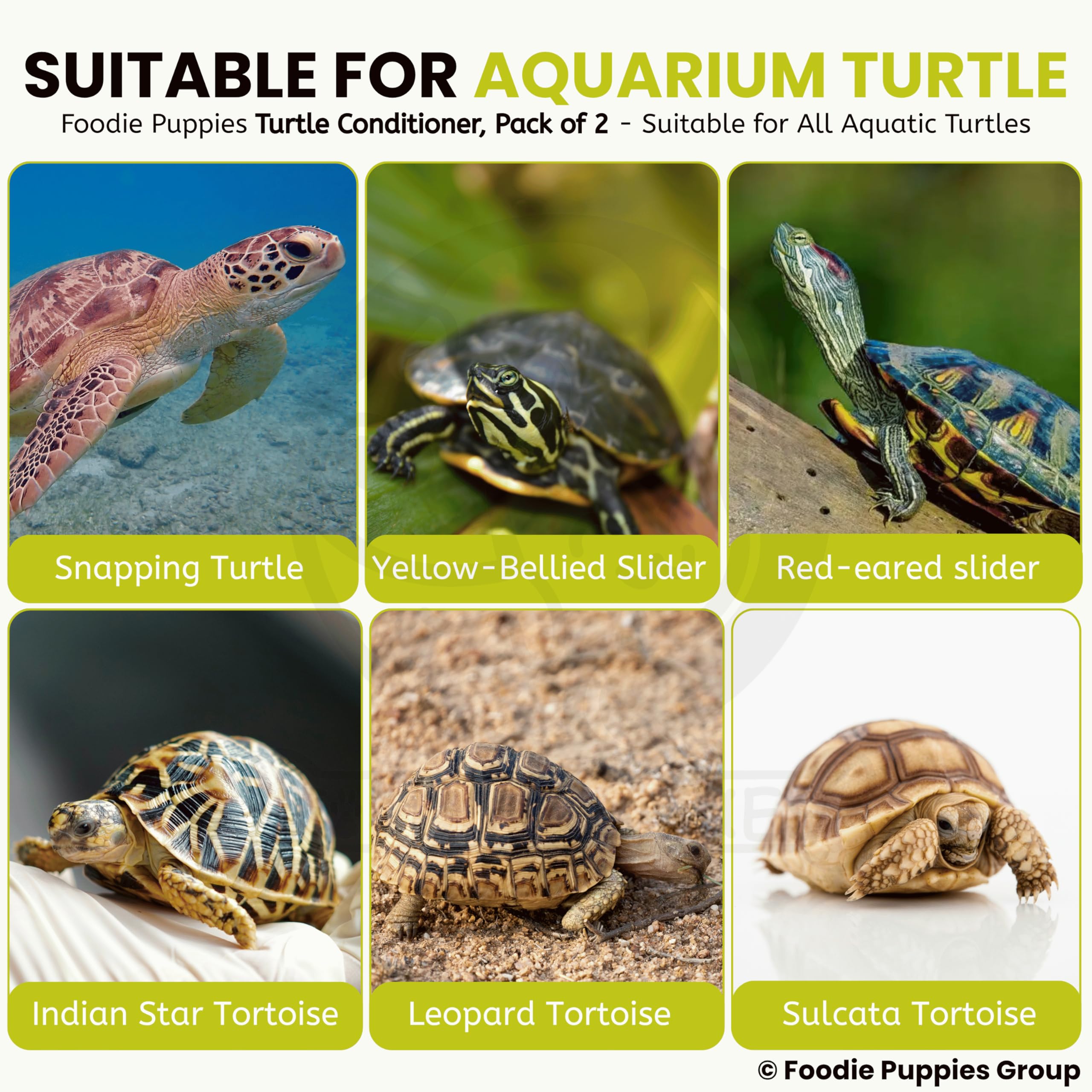 Foodie Puppies Turtle Conditioner Blocks for Aquatic Turtles (Pack of 2) | Calcium & Vitamin D3 Enriched Formula | Supports Strong Shell, Clean Water & Healthy Growth for Turtles & Aquatic Reptiles 4