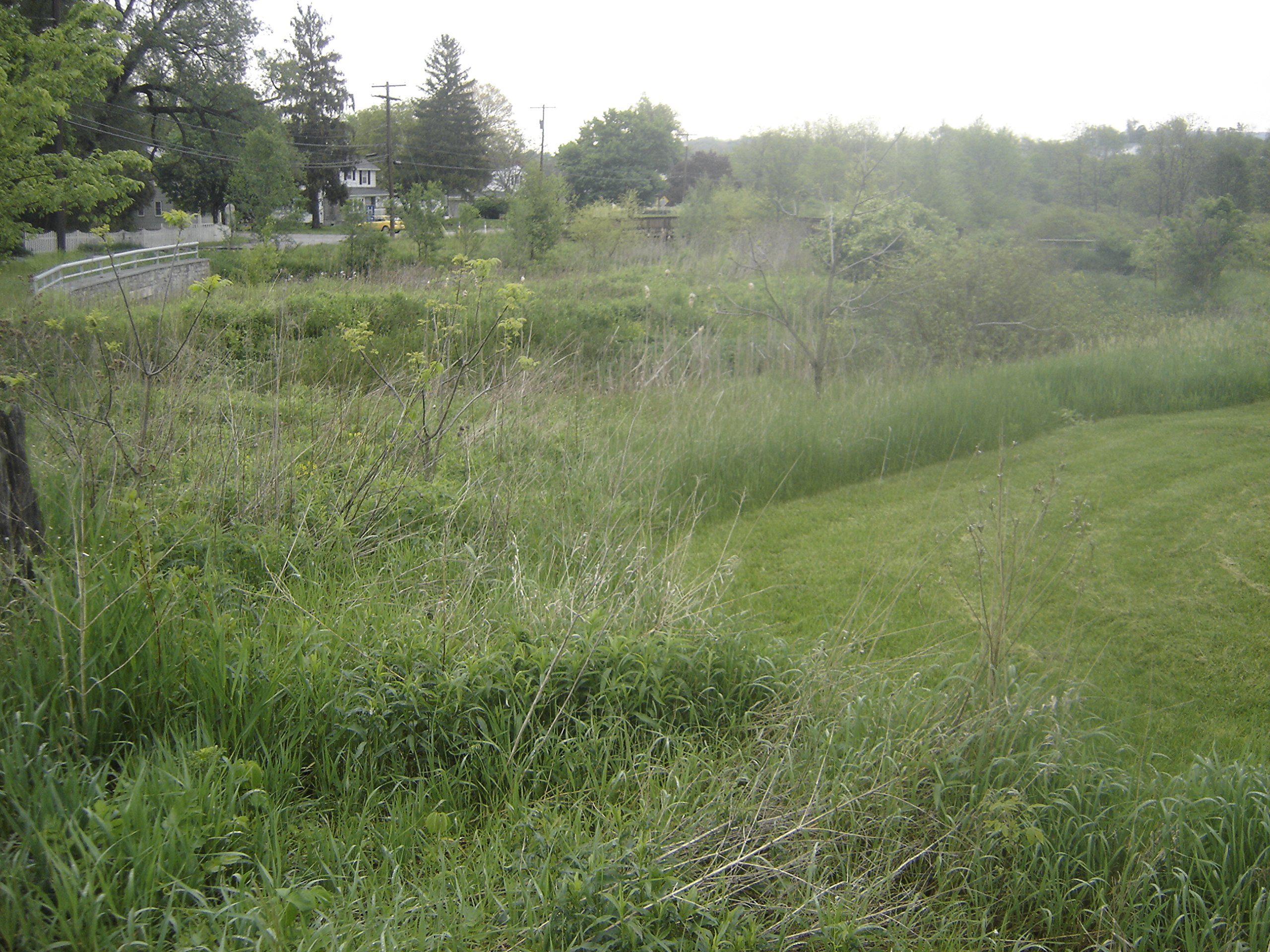 Rhetorical Analysis and Metacognitive Pedagogy