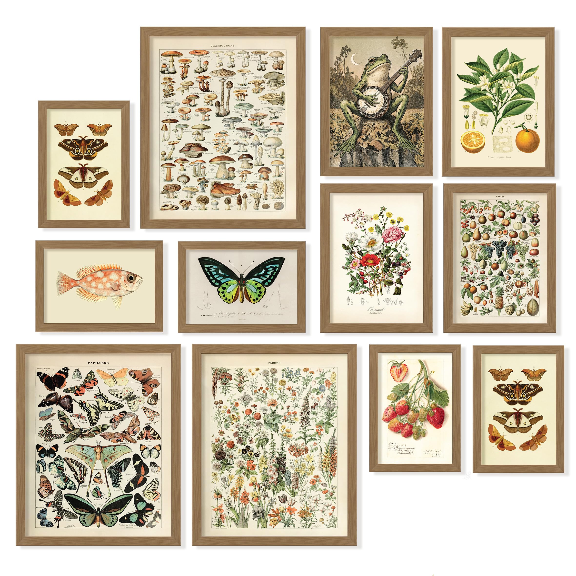 97 Decor Cottagecore Set