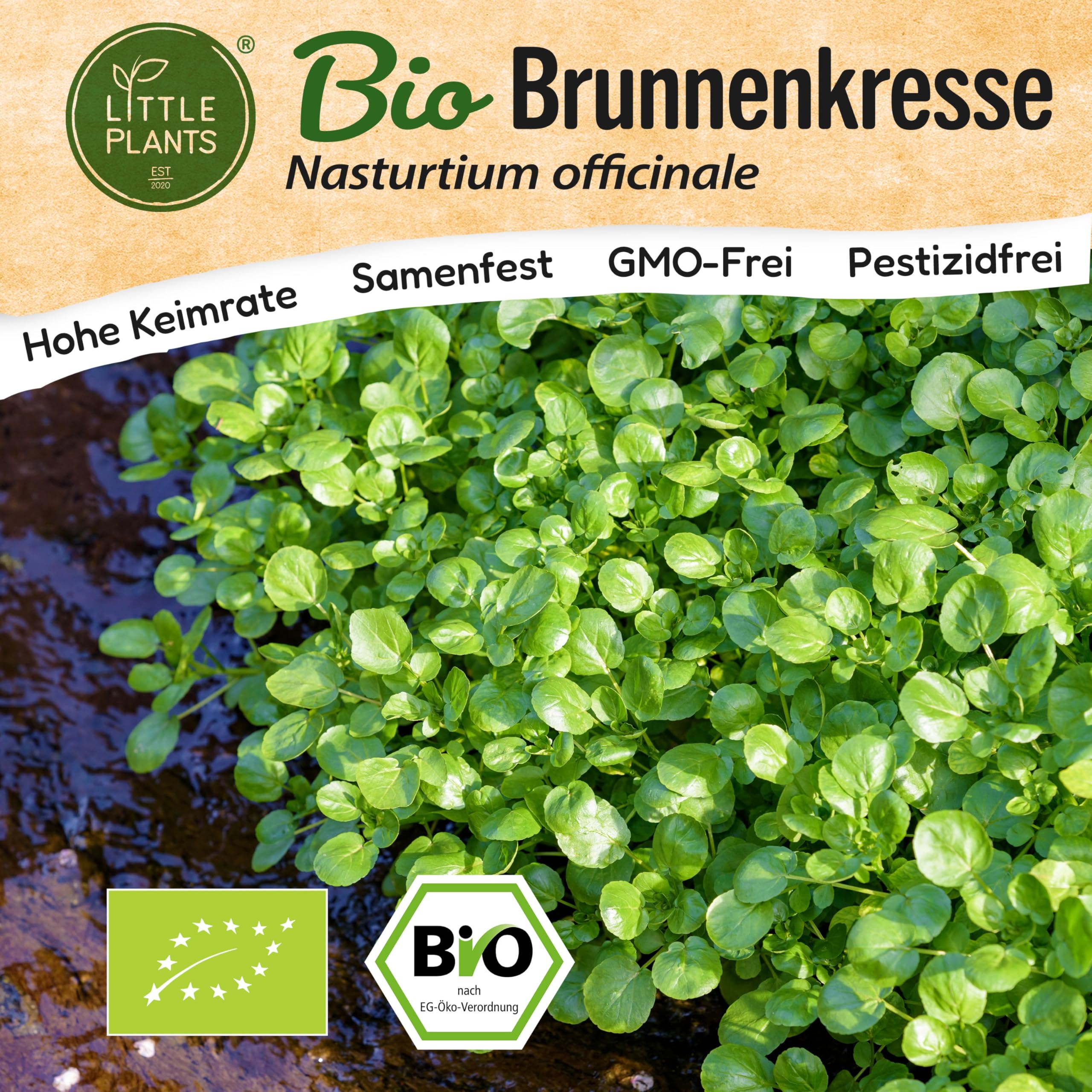 BIO Brunnenkresse Samen für Küche, Balkon und Garten EU Organic Kräutersamen 1500 Brunnenkressesamen