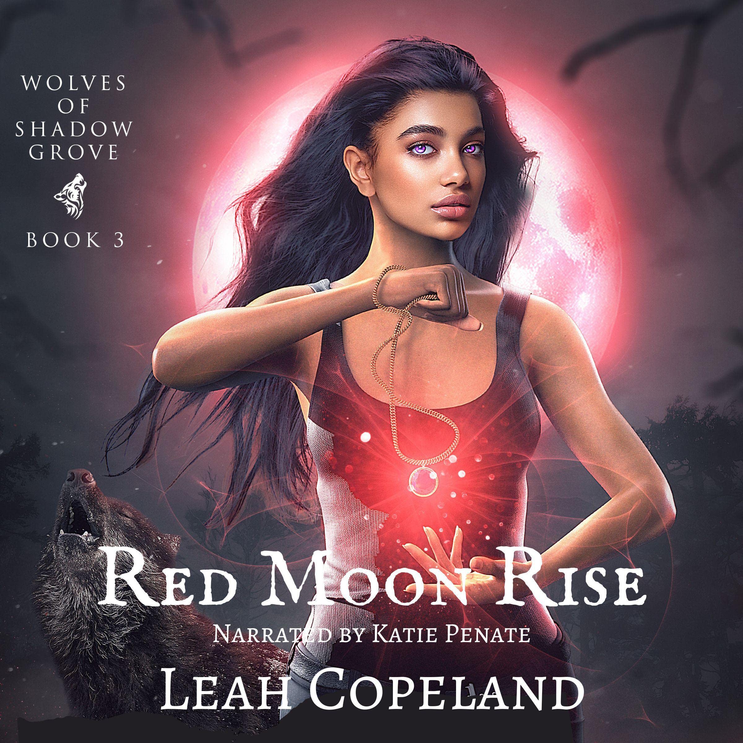 Cover art for Red Moon Rise