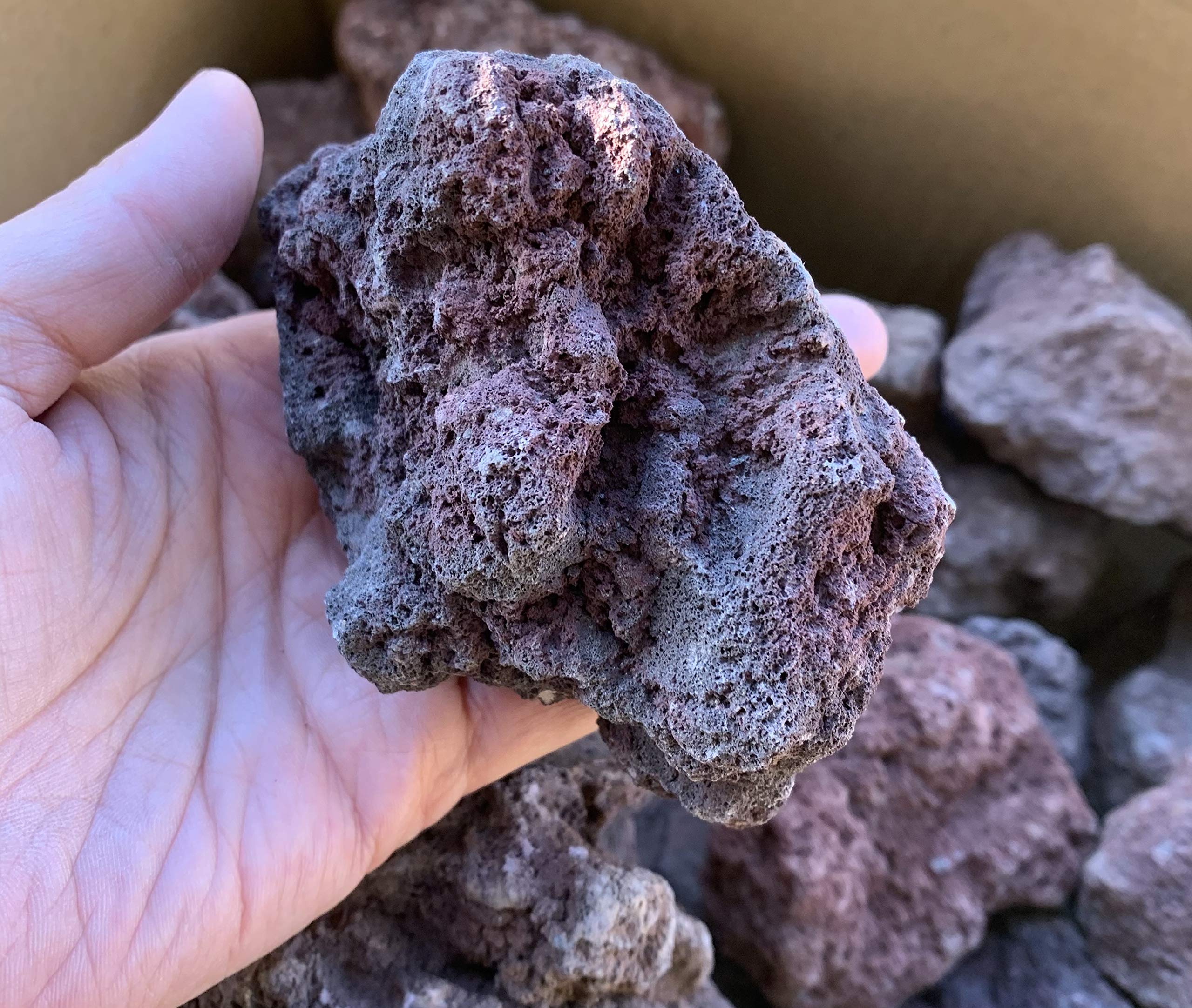 Amazon | 溶岩石 レッドロック 赤 10kg 5-15cm アクアリウム