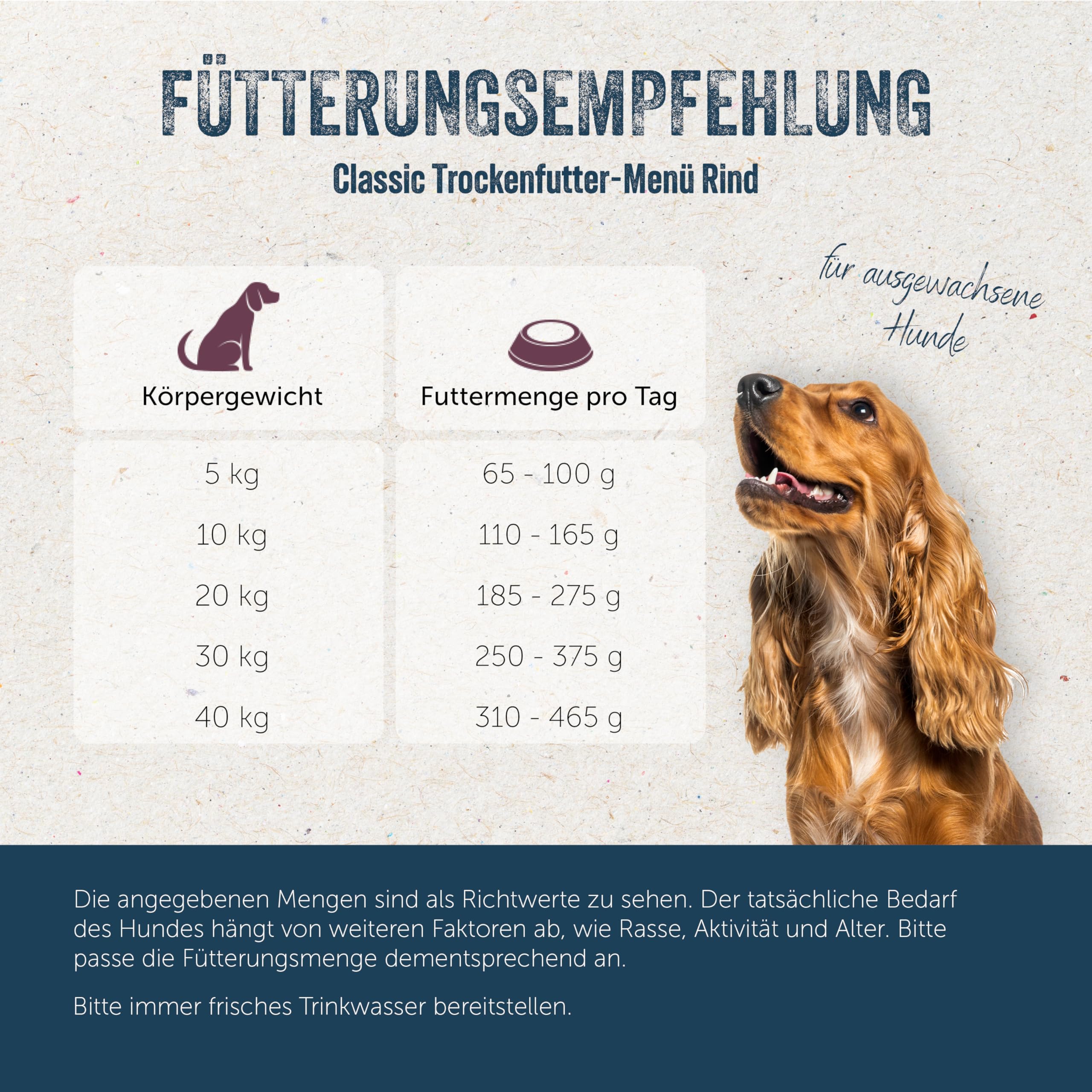 Lakefields Premium Hundefutter trocken | Rind 60% | 4 x 2,5kg | Getreidefreies Trockenfutter für ausgewachsene Hunde | Kartoffel, Äpfel & Karotte | Zutaten in Lebensmittelqualität | Schonend gebacken