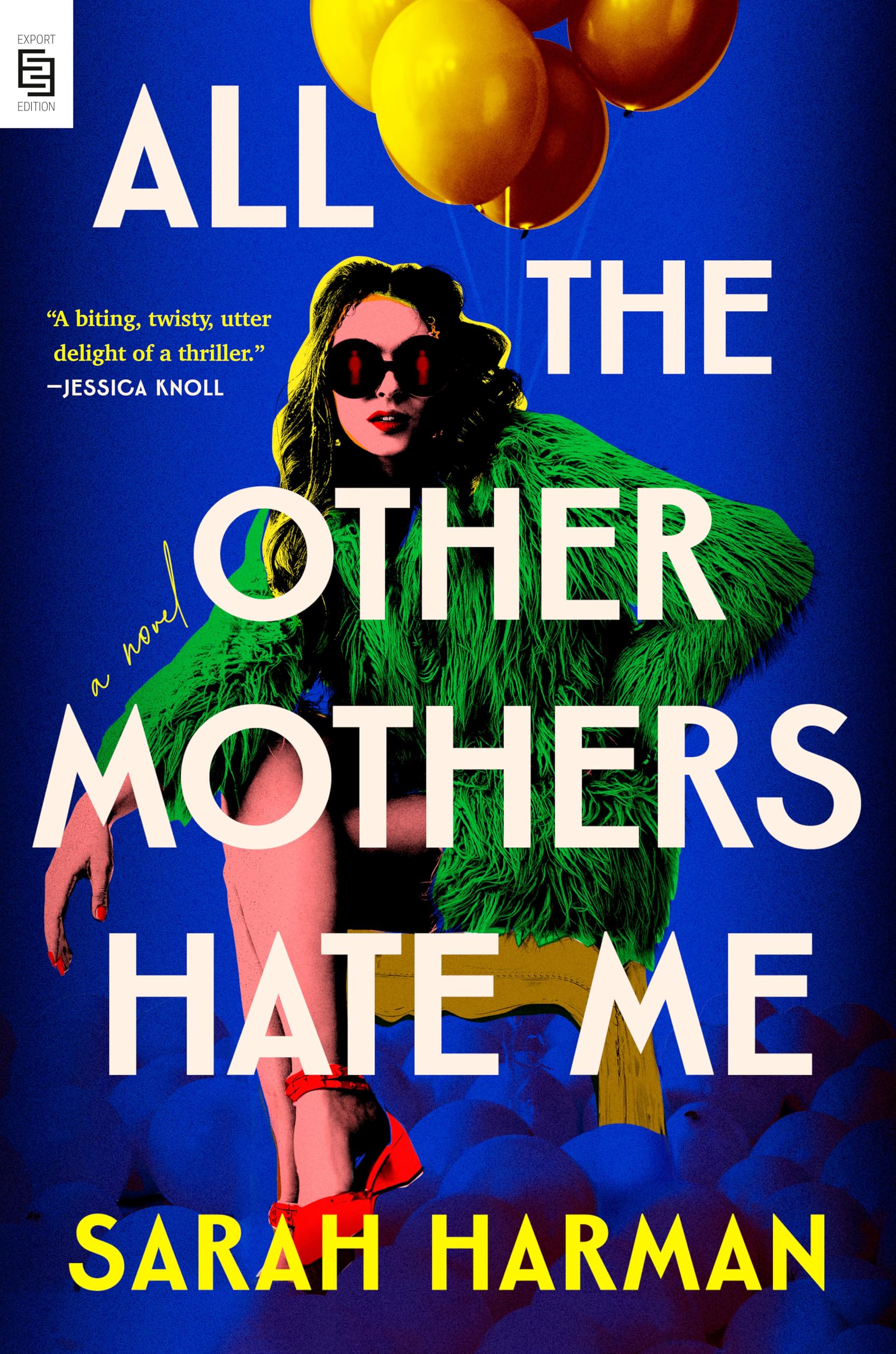 All the Other Mothers Hate Me: a novel
