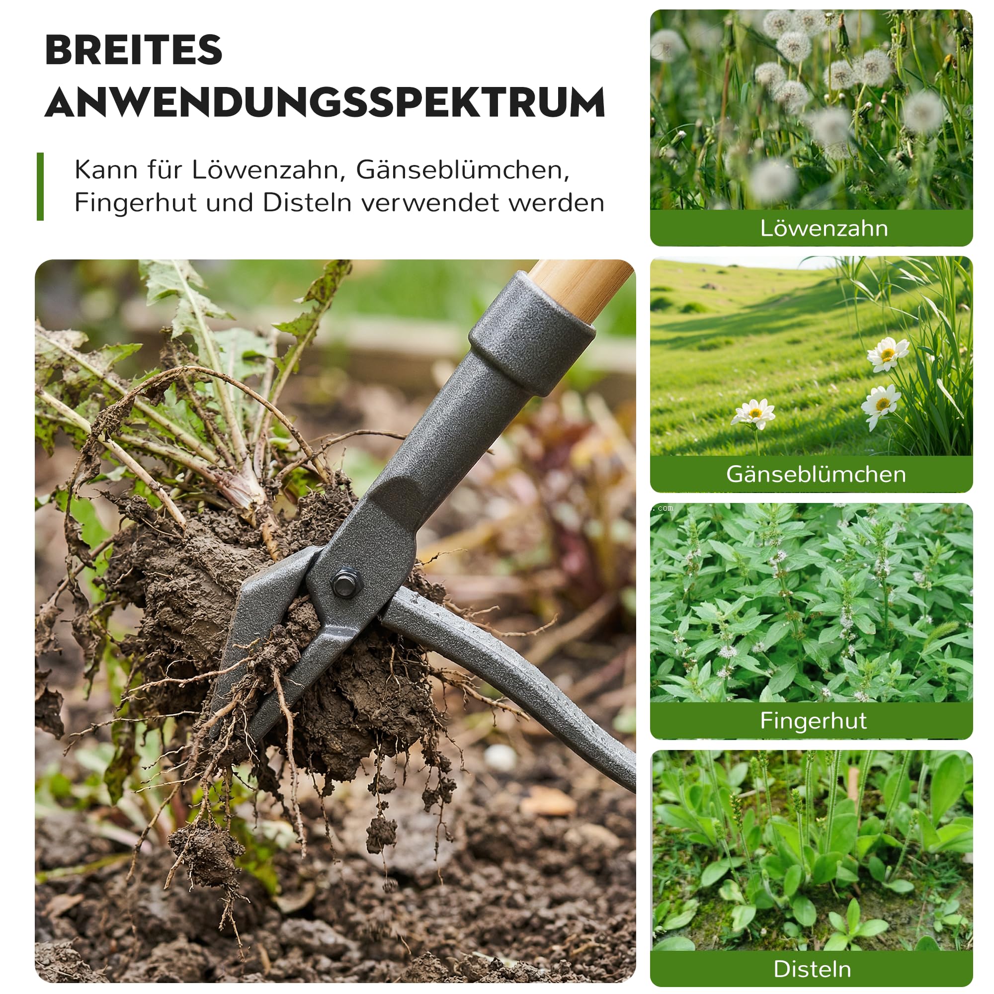 Désherbeur à long manche et pédale (110 cm), avec 2 griffes en acier inoxydable, outil de jardinage démontable, pour pissenlits et chardons dans le jardin