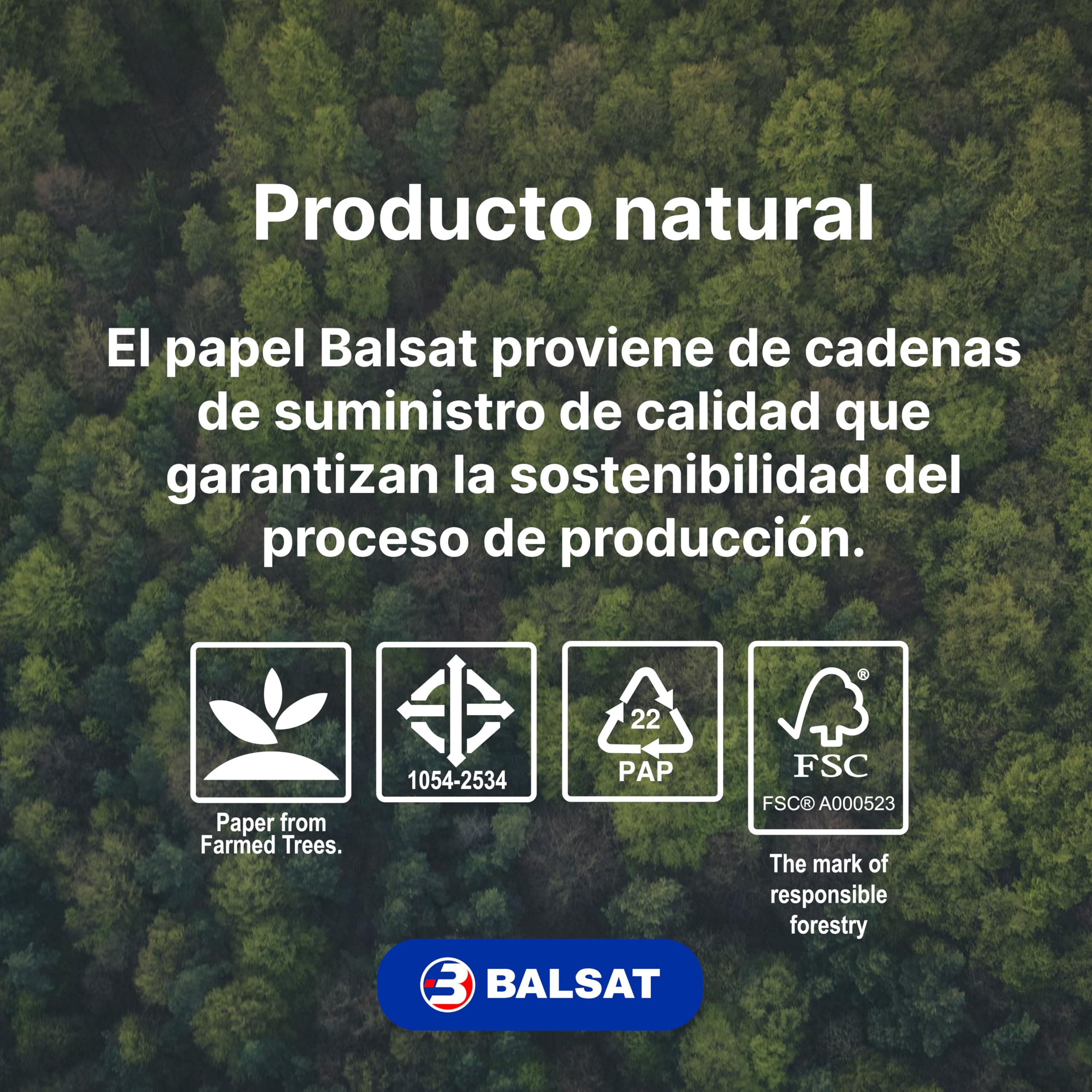 BALSAT Folios DIN A4 80 gramos, 500 hojas, Paquete de 500 Unidades - Papel de Oficina (2500)