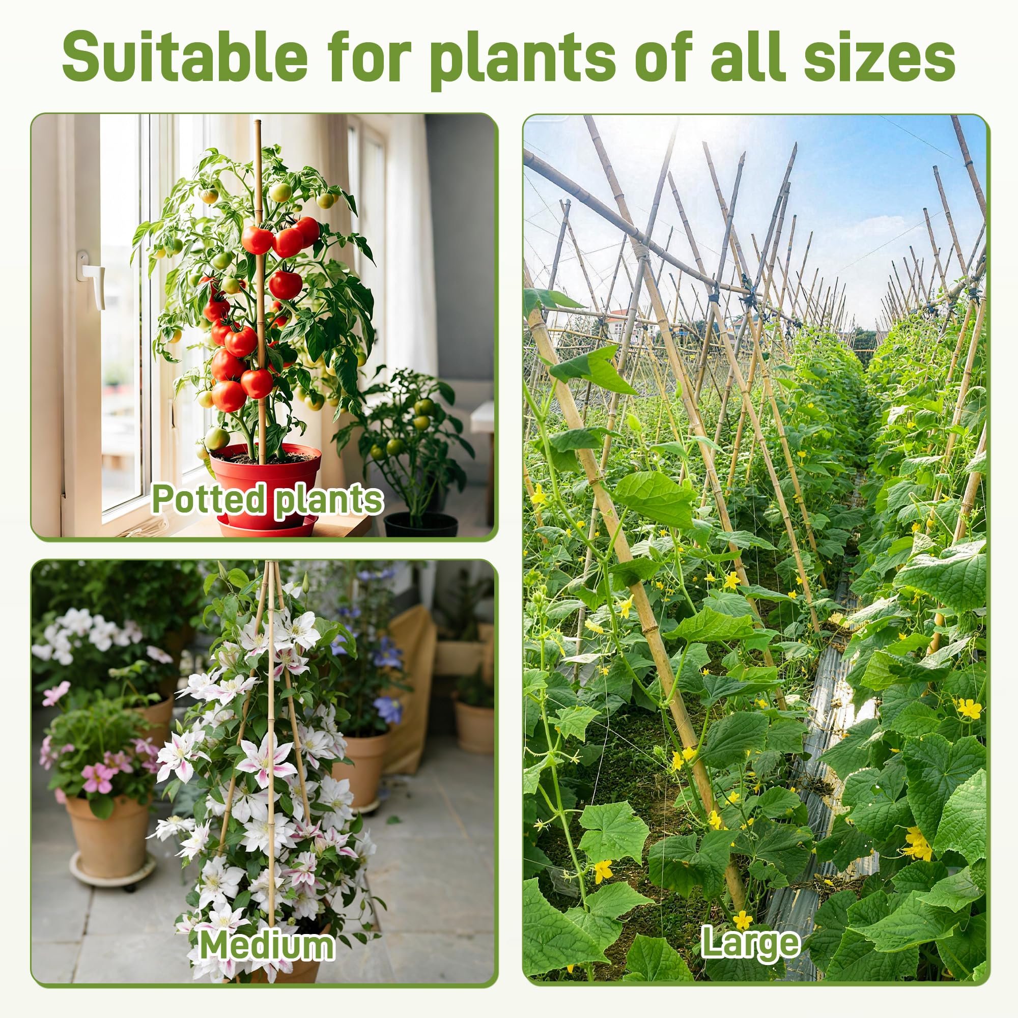 Estacas de jardín de 0.3 a 0.4 pulgadas/4 pies, estacas de bambú natural para plantas de interior y exterior, postes para tomates, frijoles, plantas en maceta (50 unidades)