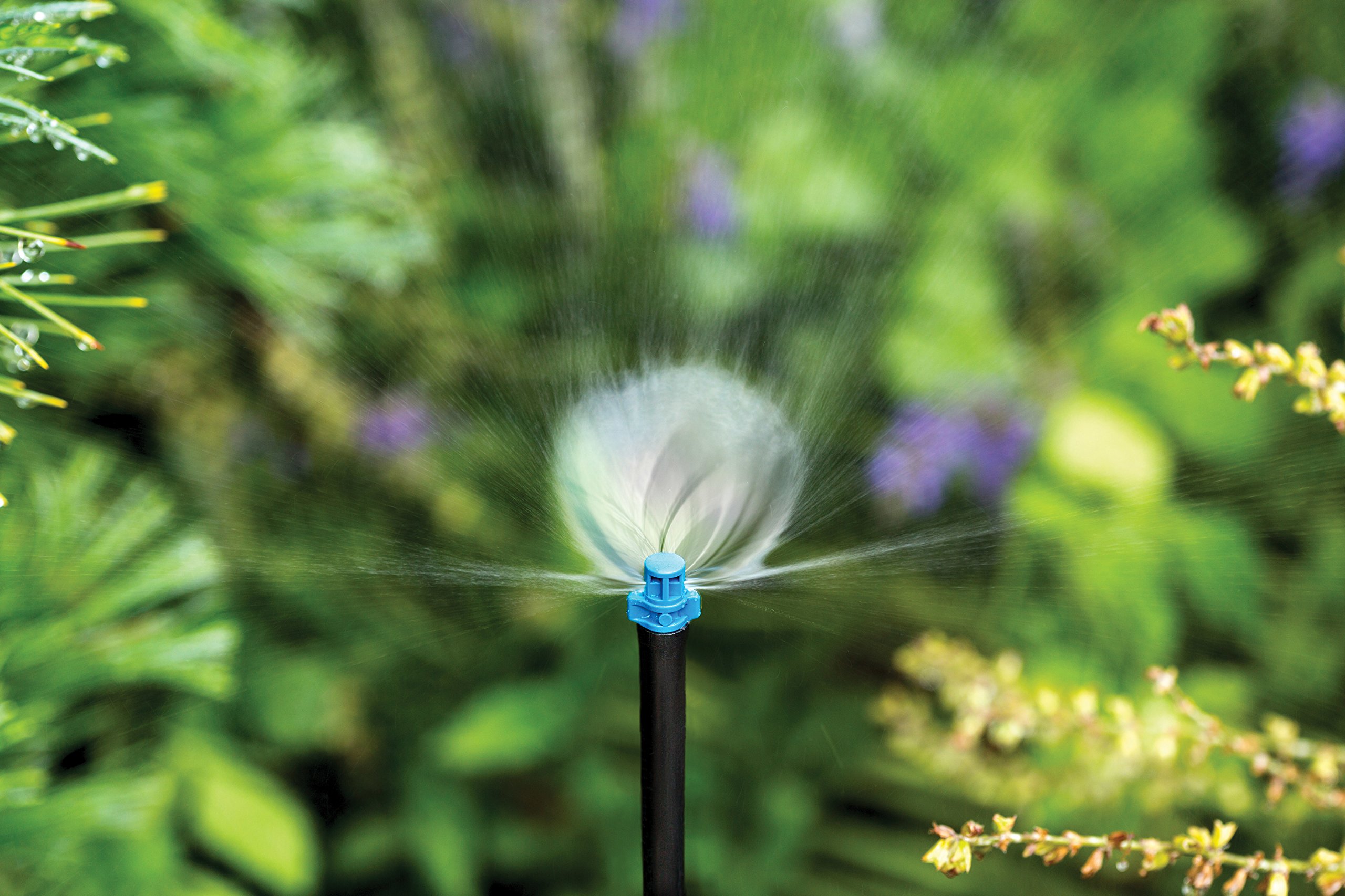 Rain Bird MSH10PKS semicerchio Modello Close Copertura Fan ugello di irrigazione a Goccia, 180 °, Raggio 4 'Spray, 10-Pack