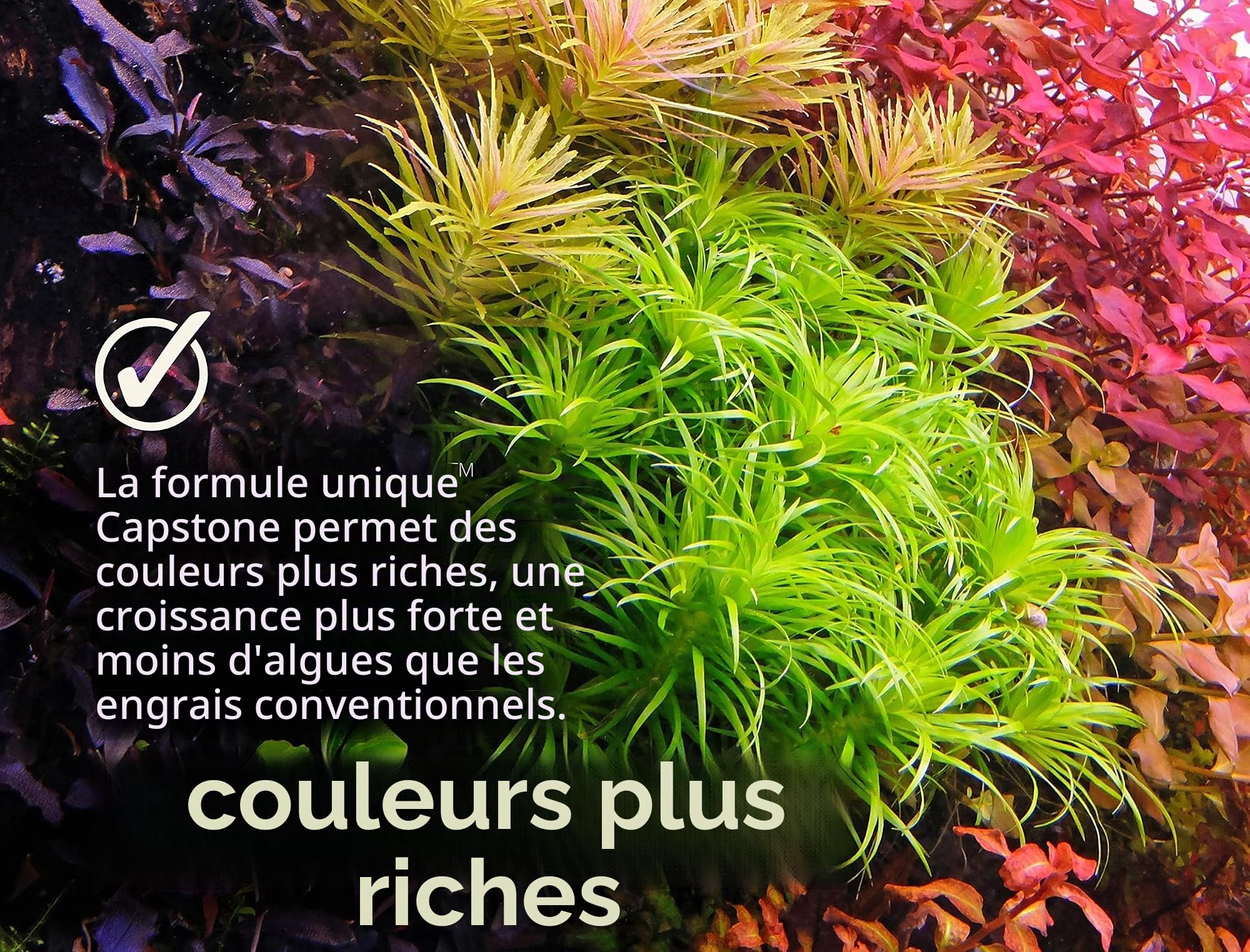 2Hr Aquarist Engrais liquide aquarium all in one APT E/Estimative Index in a bottle (1000ml)