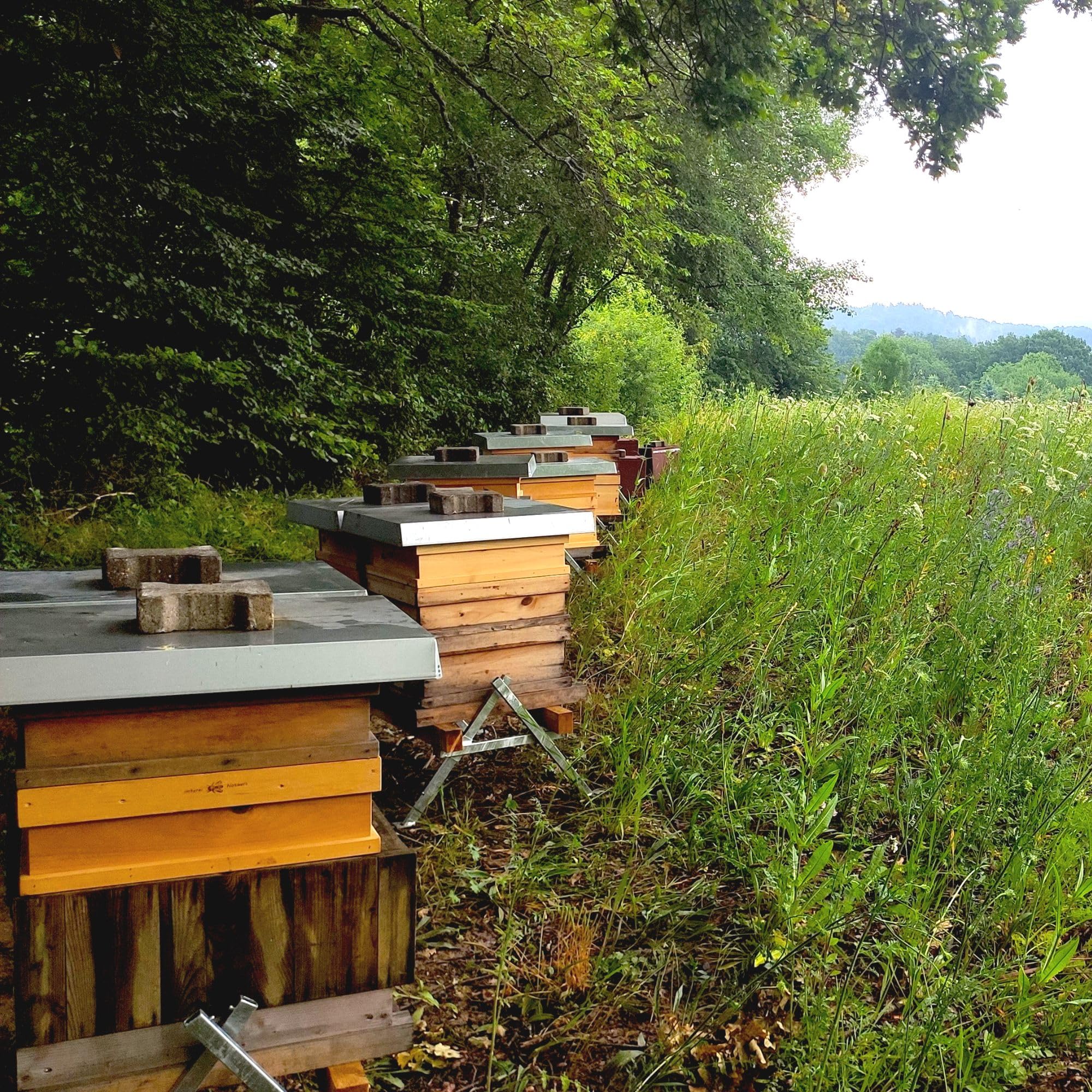EIN Paar Beutenständer Beutenbock feuerverzinkt Bienen Beuten aufstellen Imker