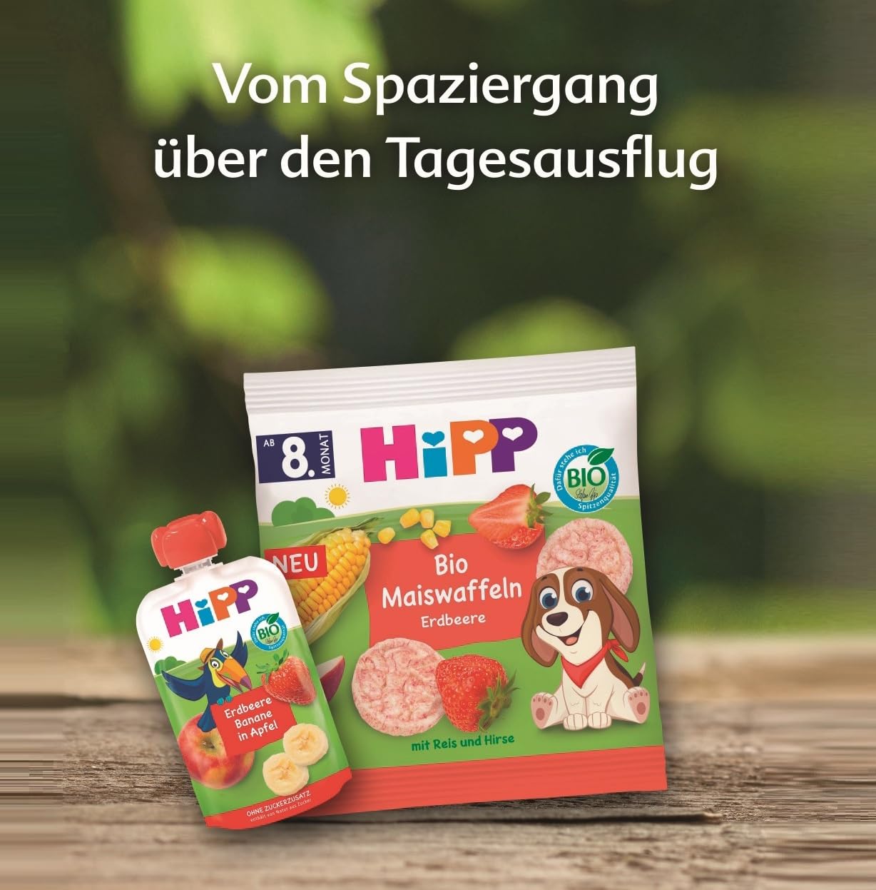 HiPP Schildkröte Hafer Riegel Erdbeere-Himbeere, (8er Pack mit je 5 x 20g), Süße nur aus Früchten, in bester Bio-Qualität