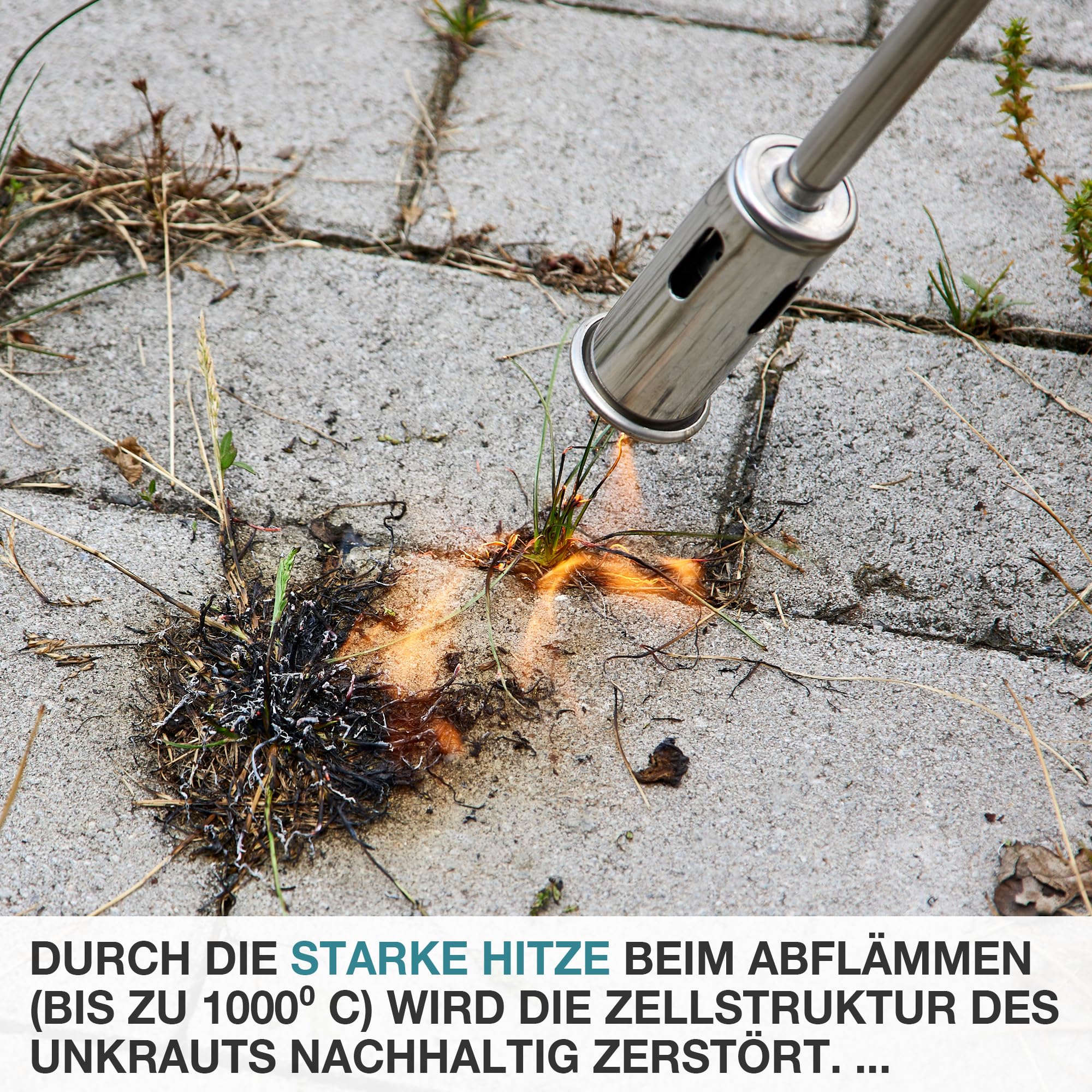 TOM Gas Unkrautbrenner Set + 8 x 400 ml Universal Gasflasche mit Schraubgewinde – Abflämmgerät ideal zur Unkrautvernichtung auf Pflastersteinen, Gehwege, Pflasterfugen