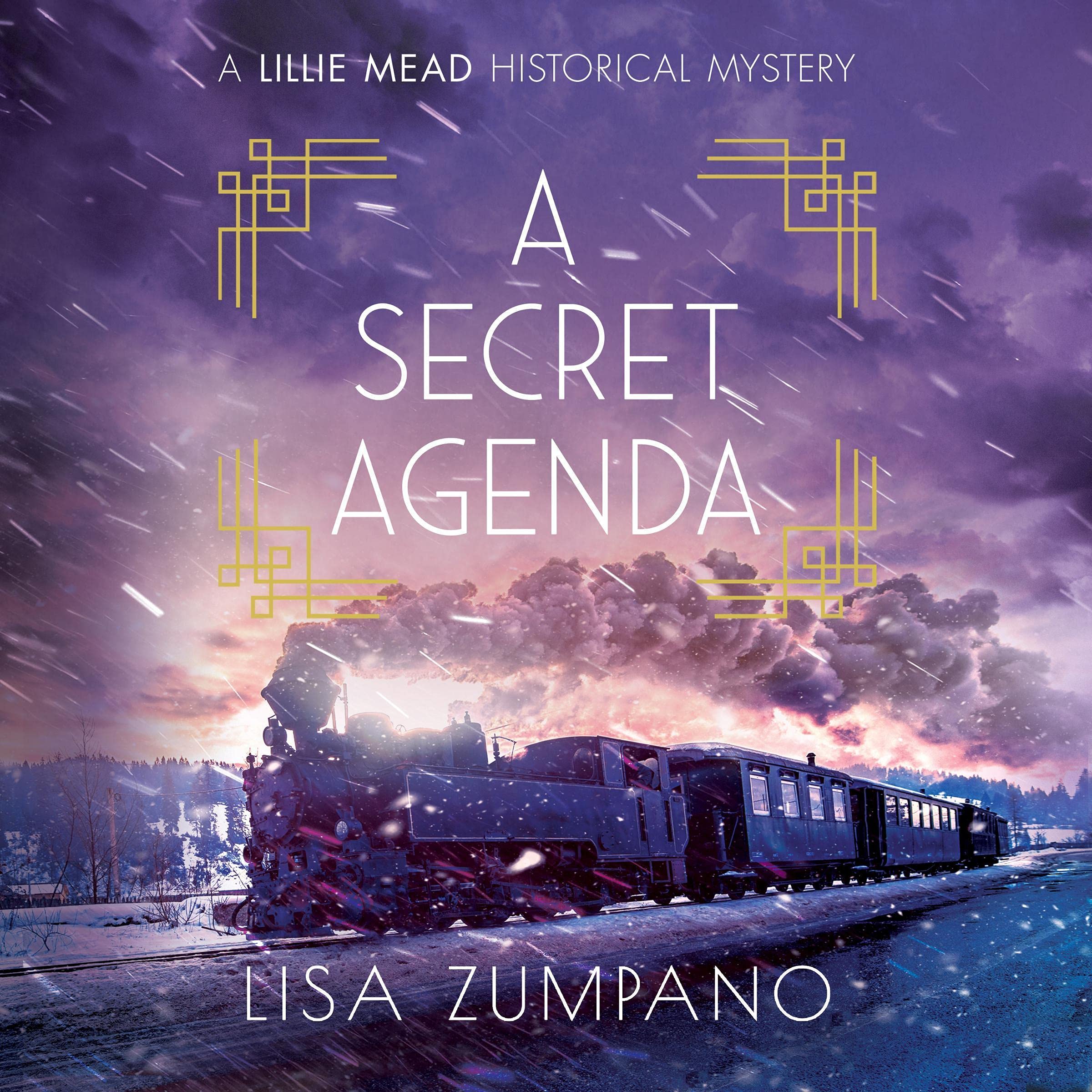 Cover art for A Secret Agenda