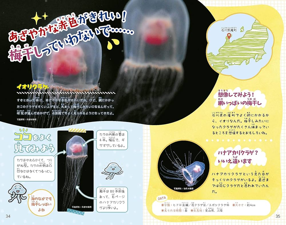 くらげページ WallabeeGTX Black Sde