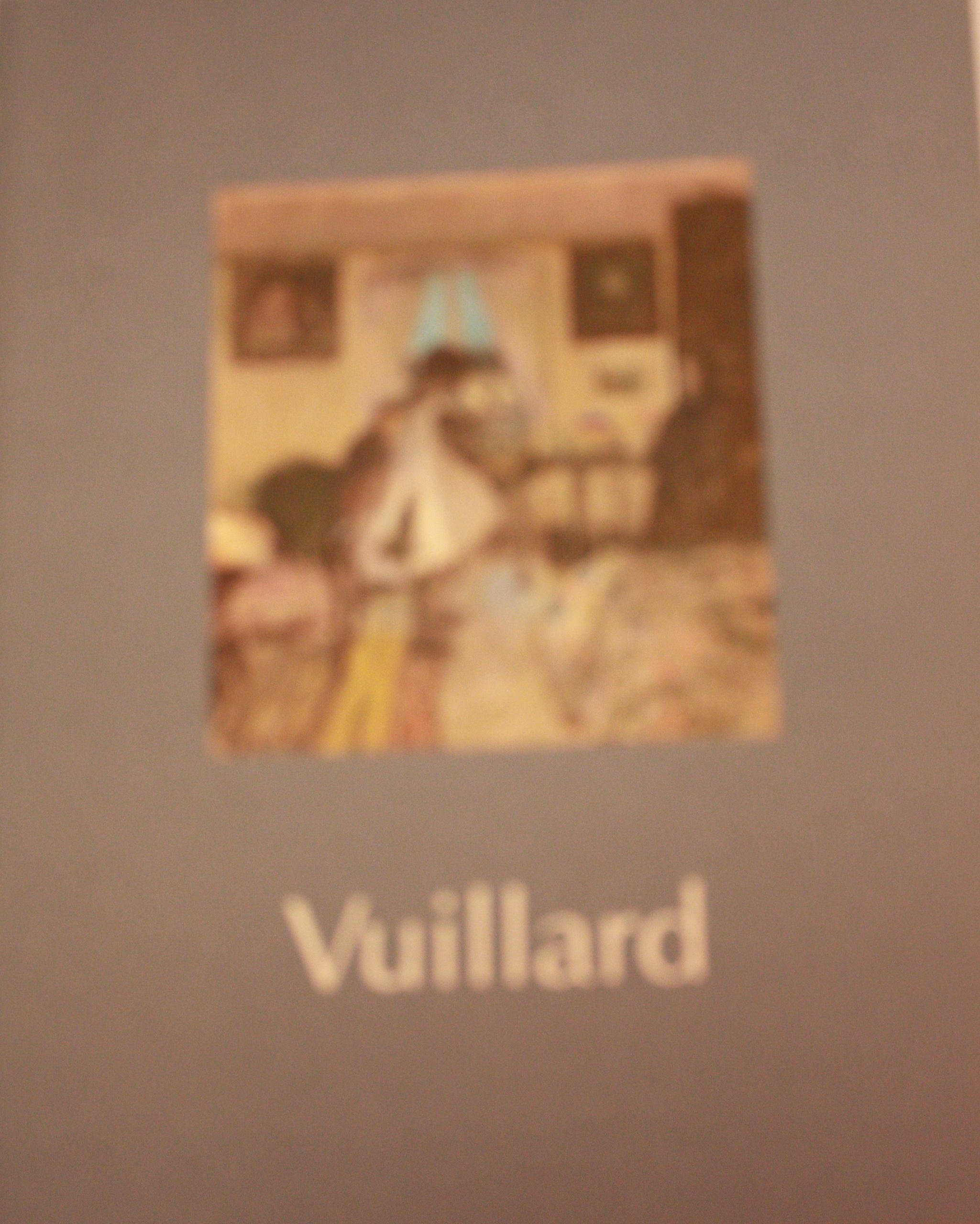 Amazon.com: Edouard Vuillard: books, biography, latest update