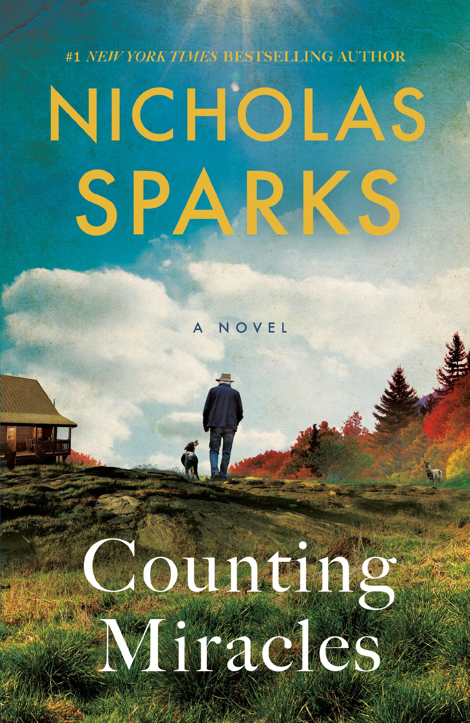 洋書　Nicholas Sparks 21冊　まとめ売り 洋書 Nicholas Sparks 21冊 まとめ売り