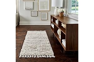 nuLOOM Brooke Shag Tasseled Runner Rug - 2x10 Runner Shag Rug for Hallways
