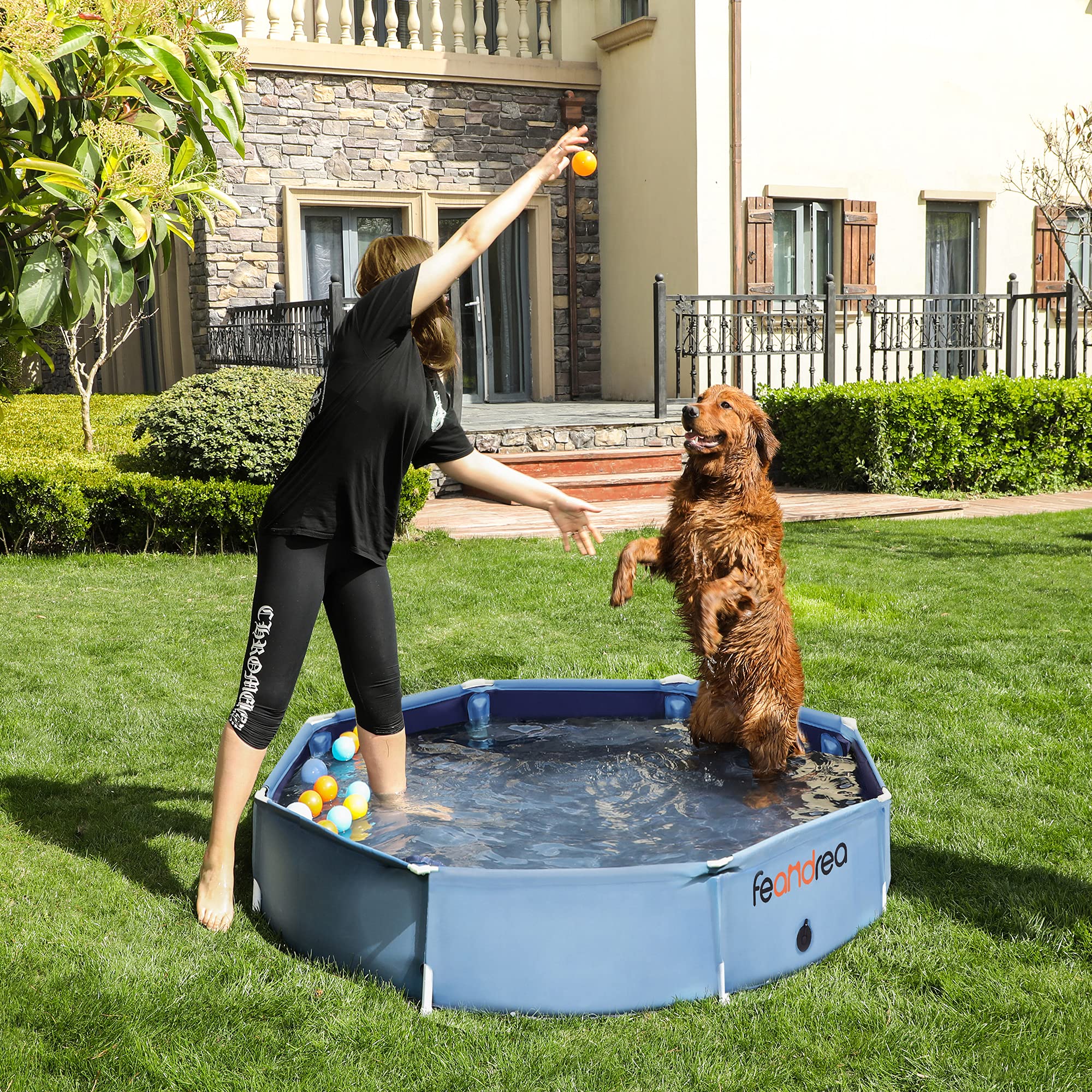 Feandrea Piscine pour Chien, Baignoire Animaux, Bassin Jeux, Bleu PDP003Q01