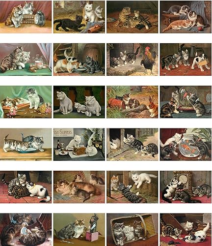 Miniatura 6 de PIXILUV Tarjetas postales vintage (24 piezas de 4 x 6 pulgadas cada una) Secret Life of Cats Tarjetas de felicitación retro, reimpresión