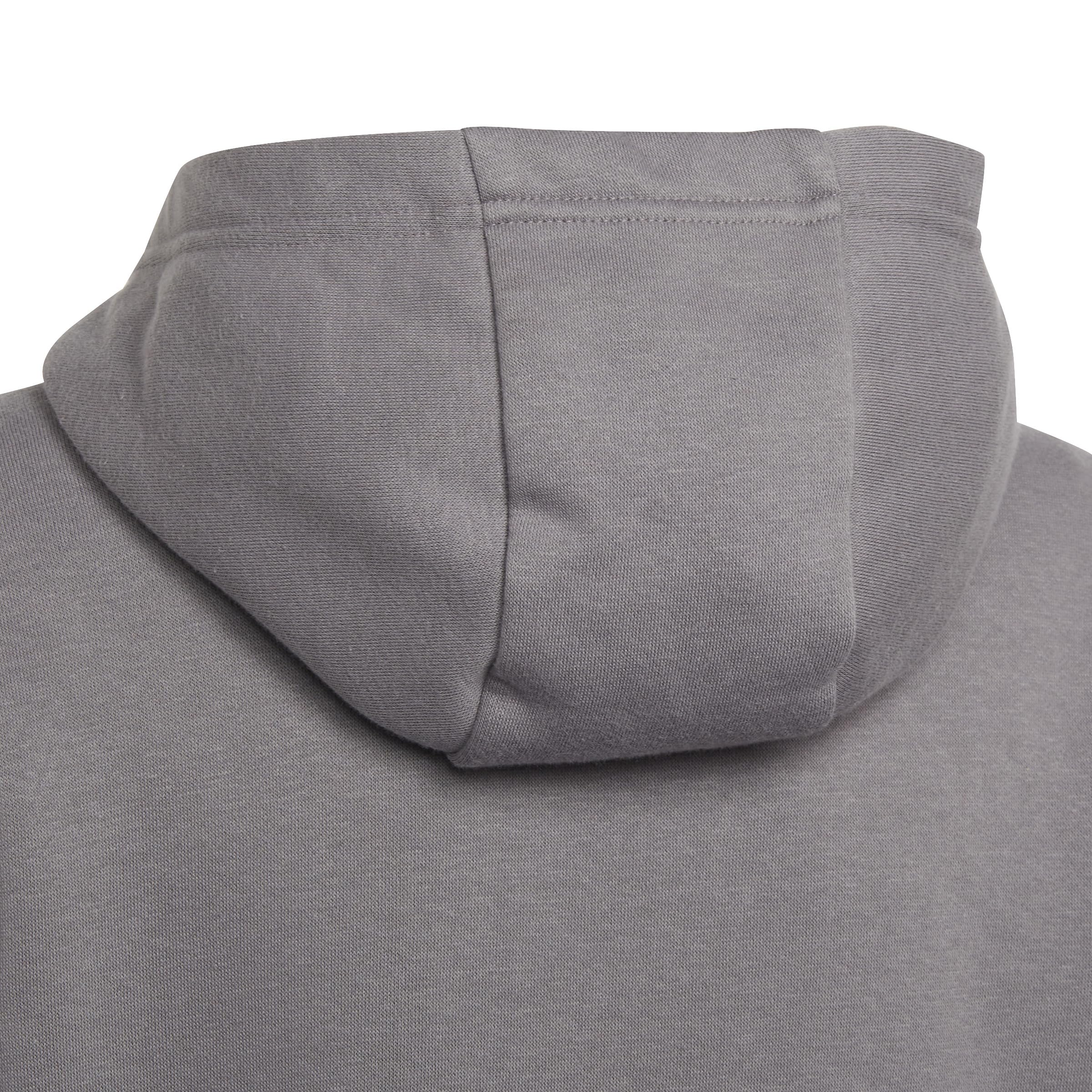 adidas Uniseks - dzieci Entrada 22 Sweat Hoodie, Team Grey Four, 11-12 Years