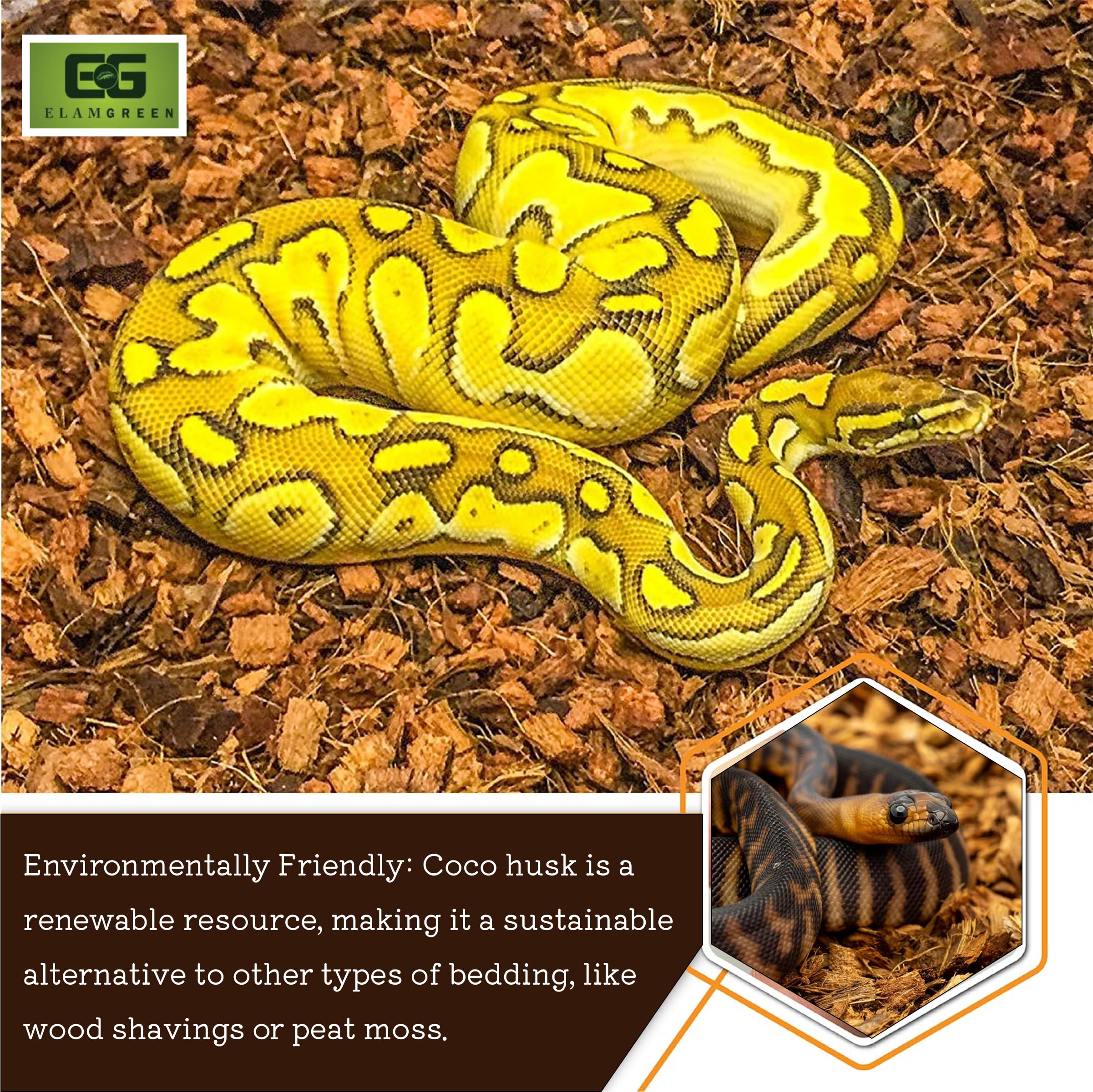 Elamgreen Coco Husk Block | Natural Bedding for Snakes, Reptiles & Small Pets (4.5kg) 1