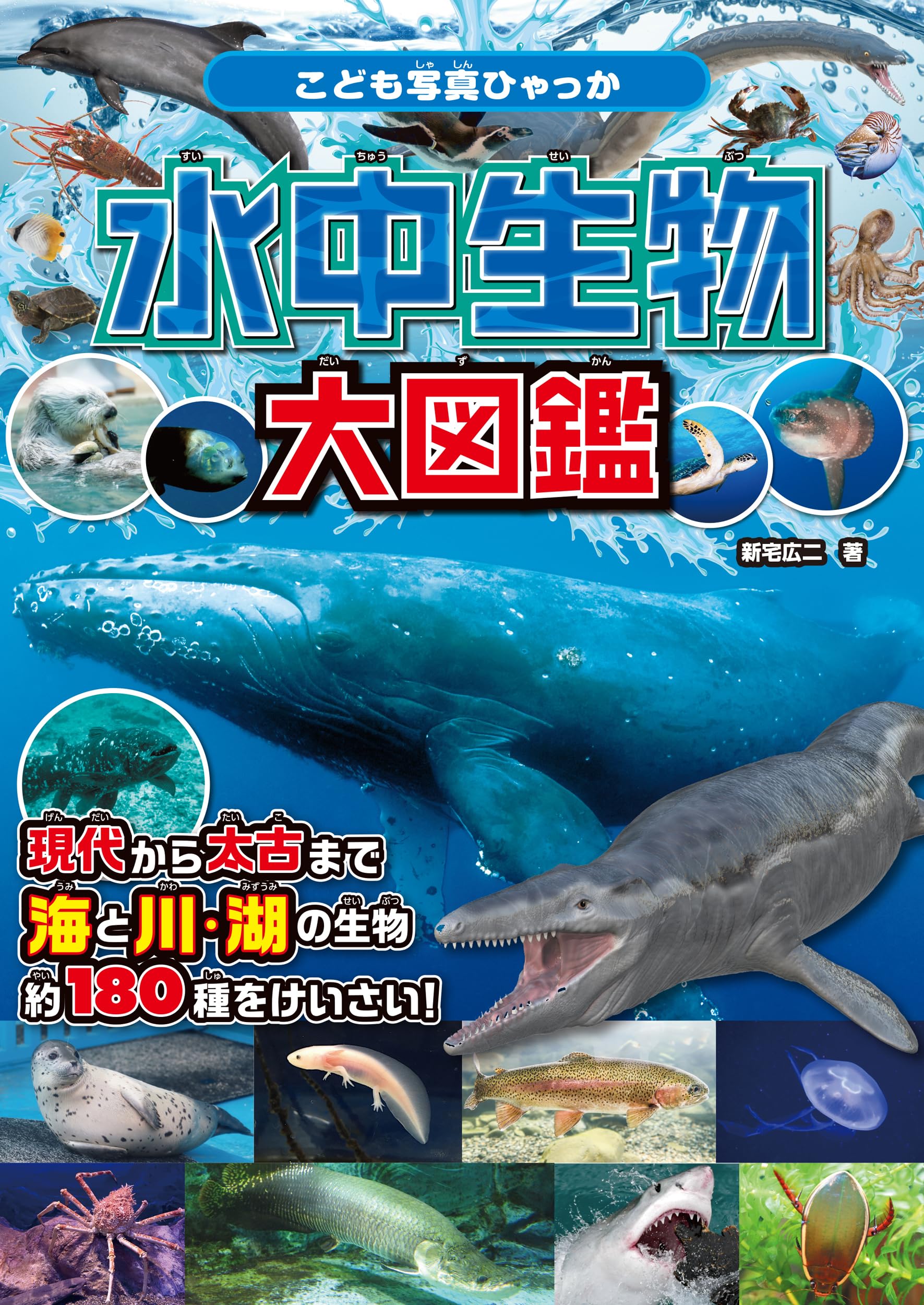Amazon.co.jp: 水中生物大図鑑 (こども写真ひゃっか) : 新宅広二: 本