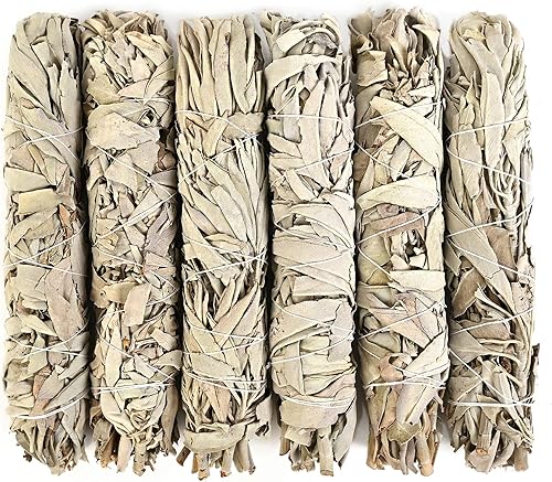 Salvia blanca California extragrande, aproximadamente 8.5 pulgadas de largo y 2 pulgadas de ancho para rituales de manchas, limpieza de energía, disponible en Yaxa Costa Rica