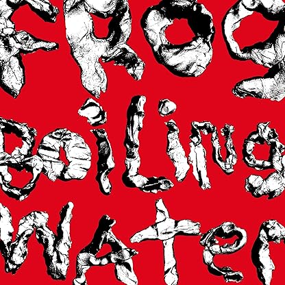 Frog In Boiling Water[LP] por DIIV — capa do álbum