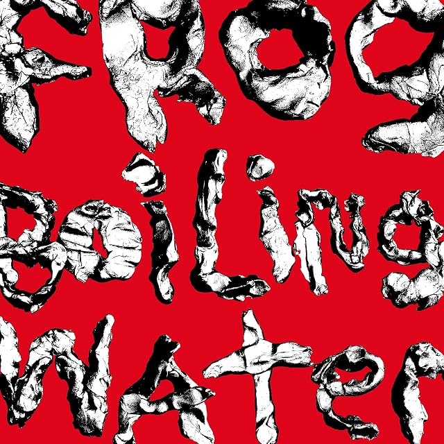 Frog In Boiling Water por DIIV, capa do álbum