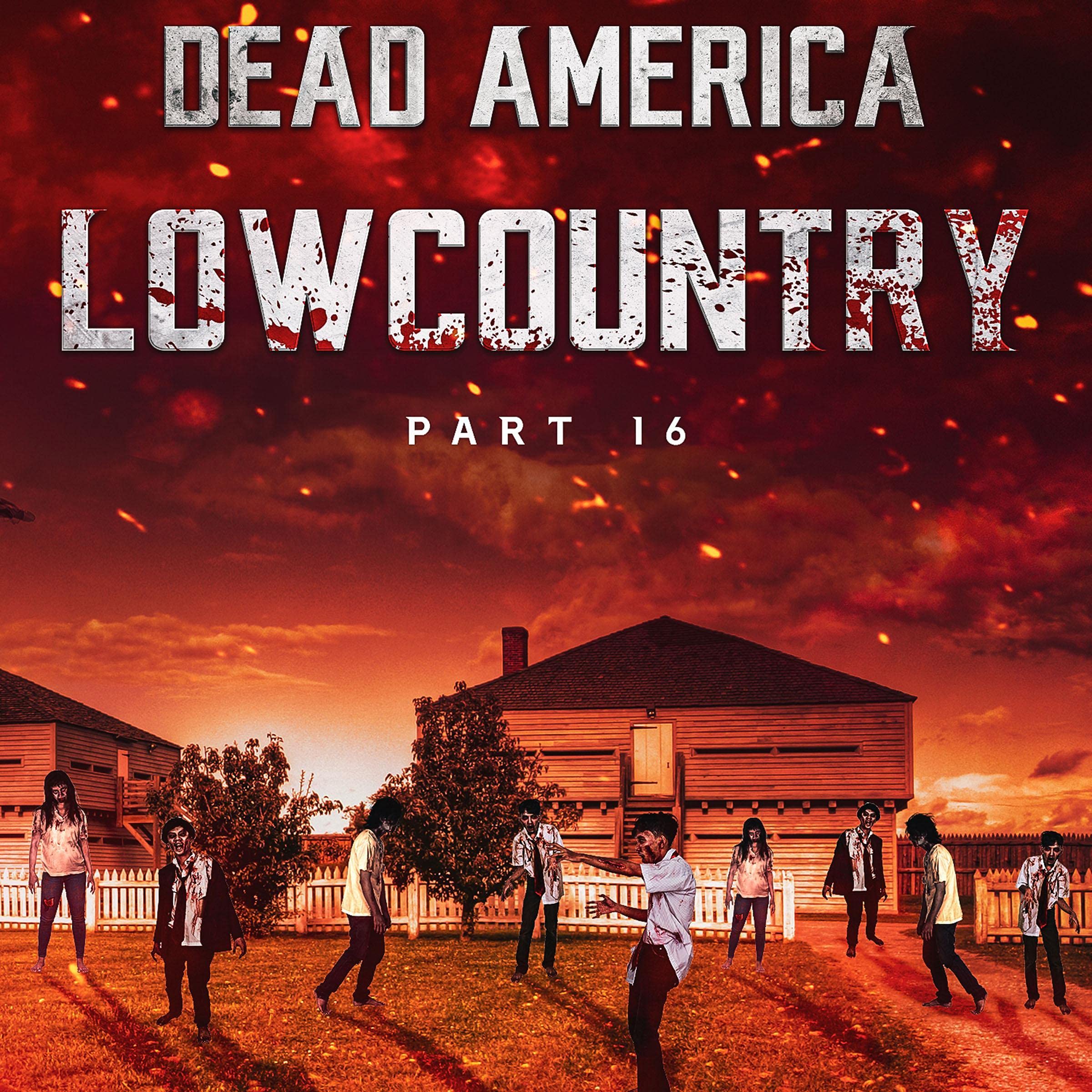 Cover art for Dead America - Lowcountry: Part 16