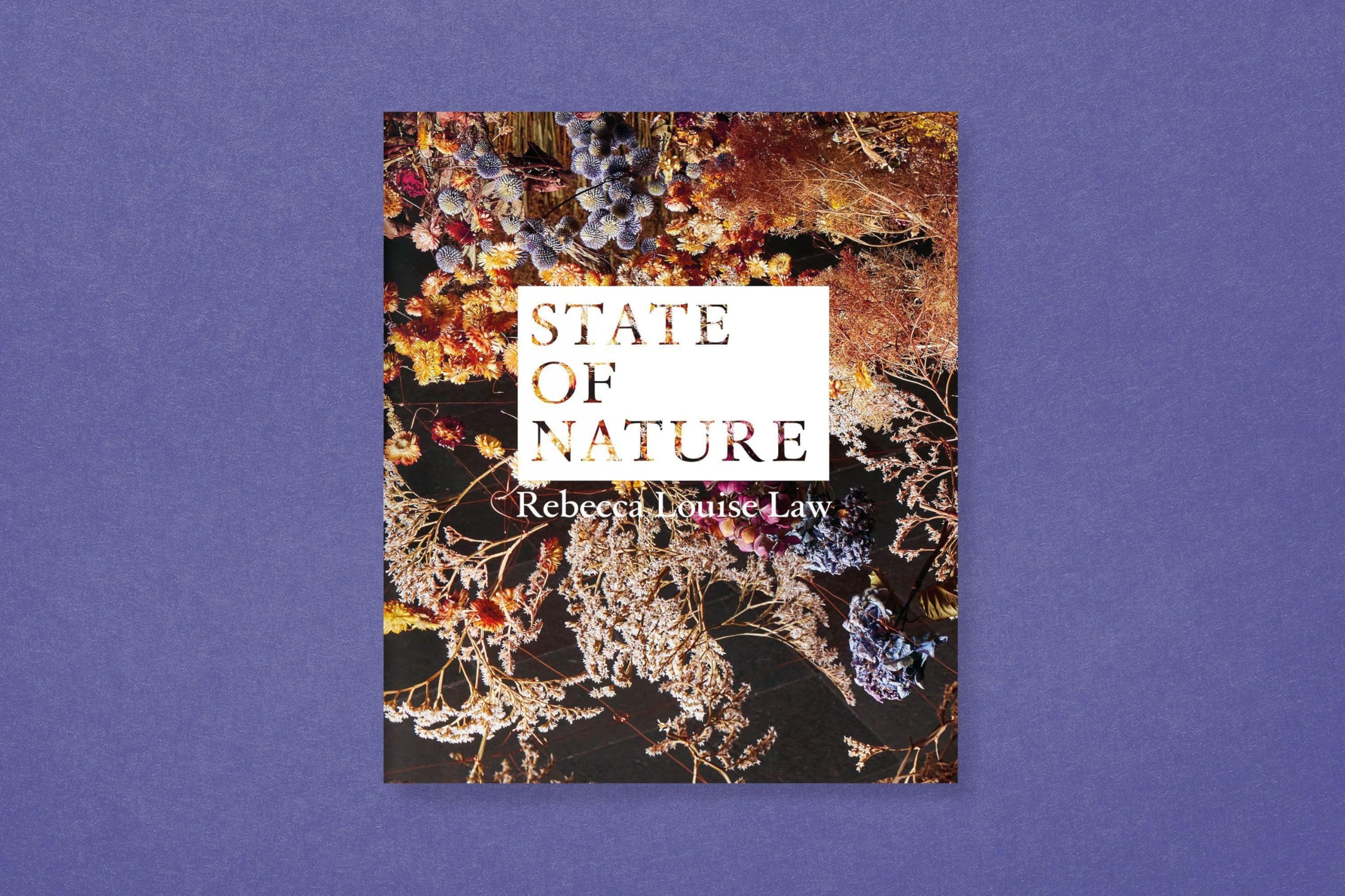 Rebecca Louise Law: State of Nature