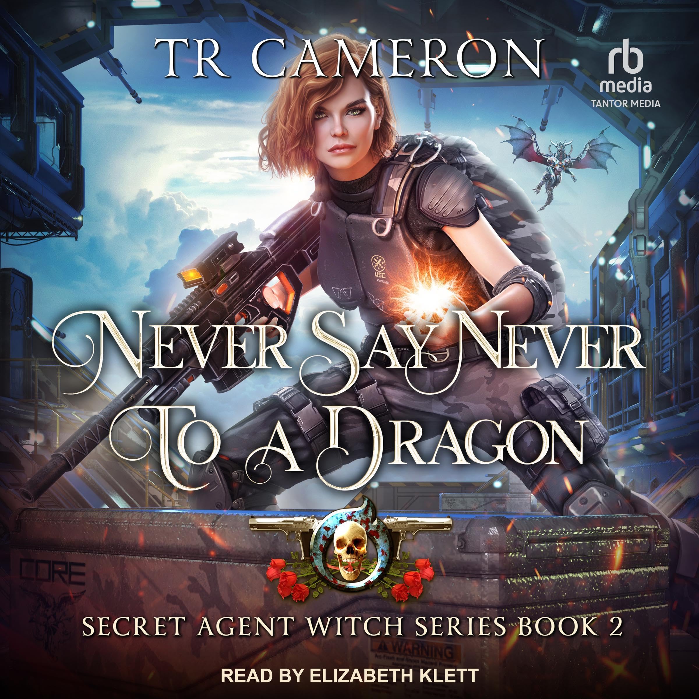 Cover art for Never Say Never to a Dragon