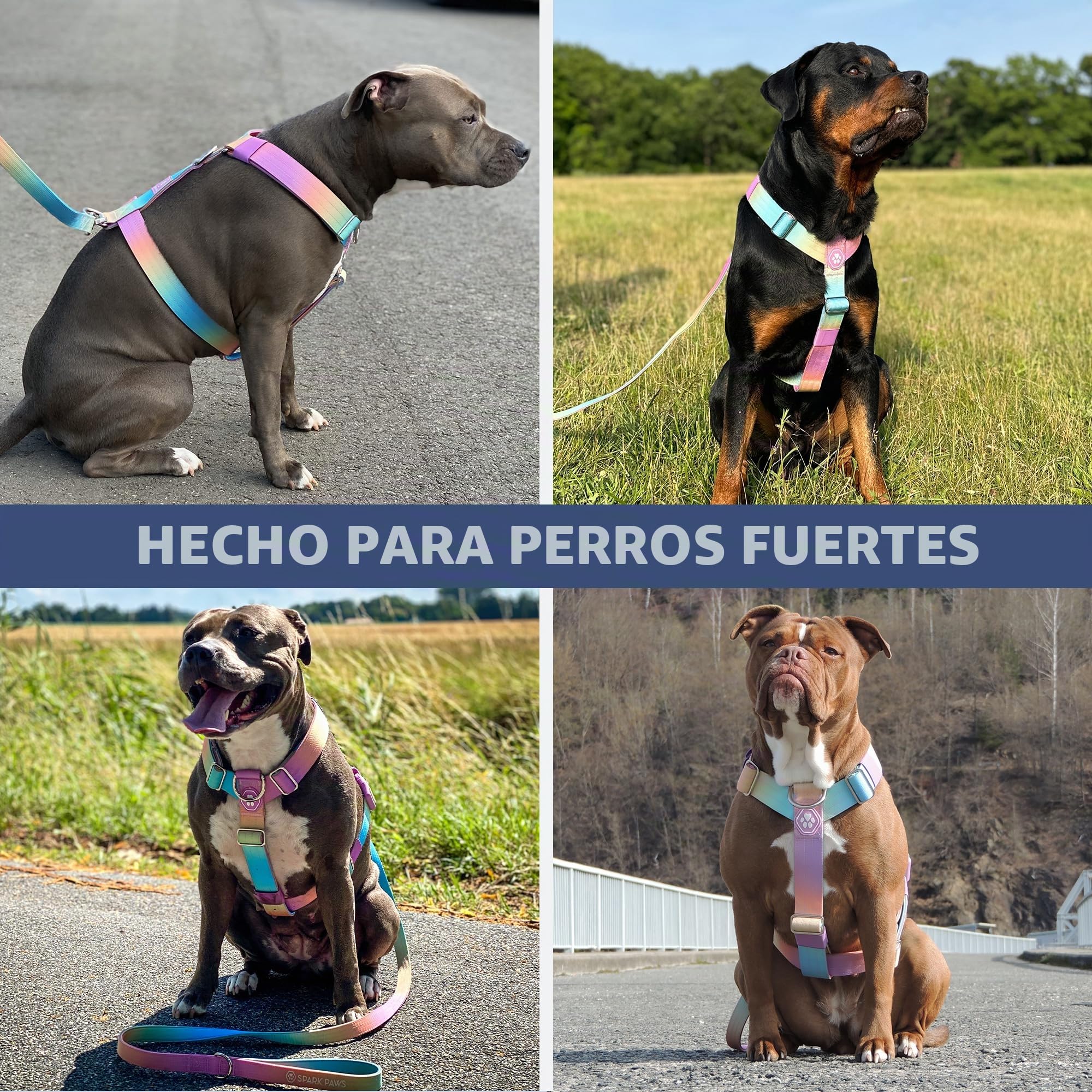 Spark Paws Arnés grande sin tirones para perro, diseño halter con clip frontal, duradero y resistente para razas grandes y fuertes, glaseado pastel, talla L